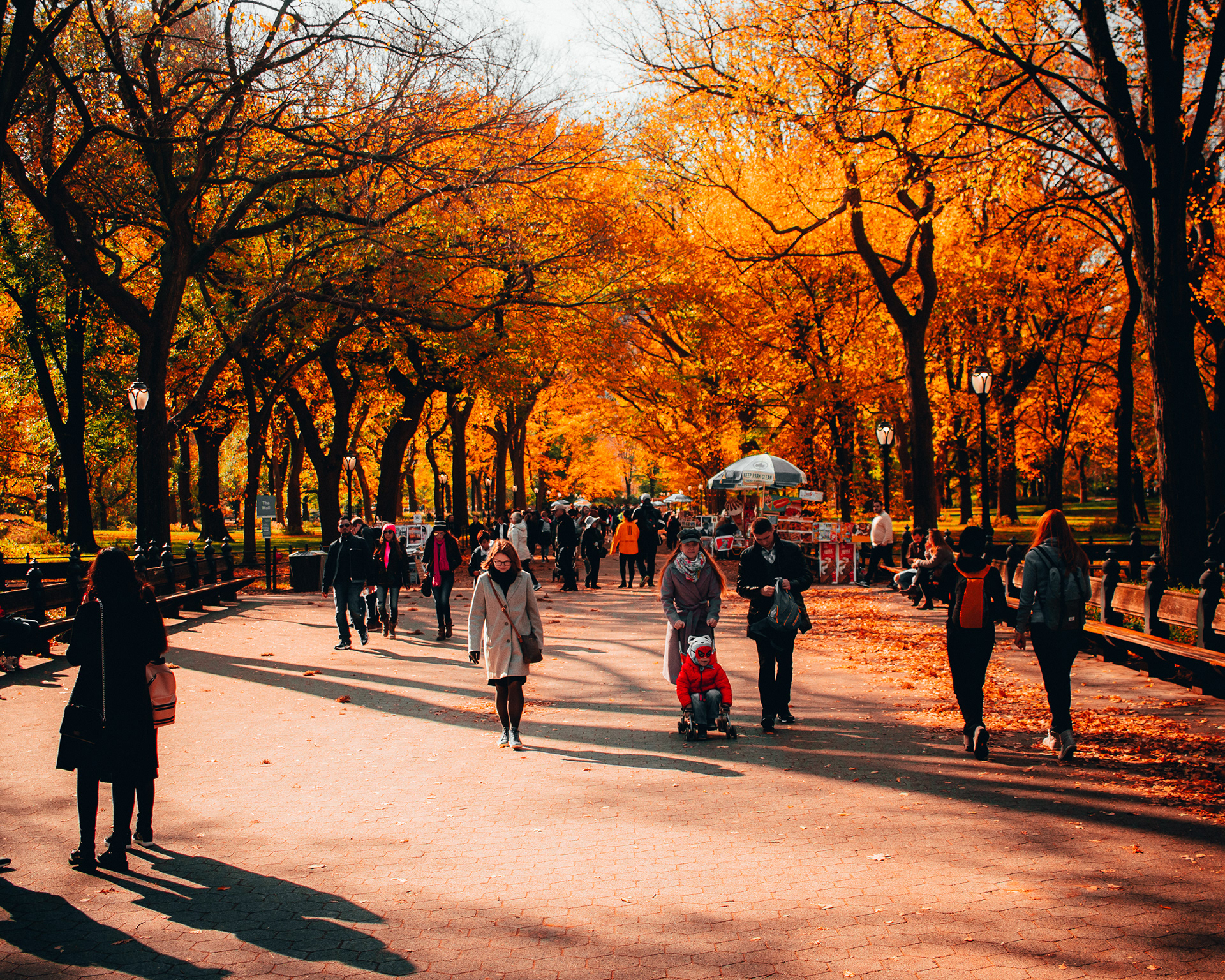 "Fall in NY"