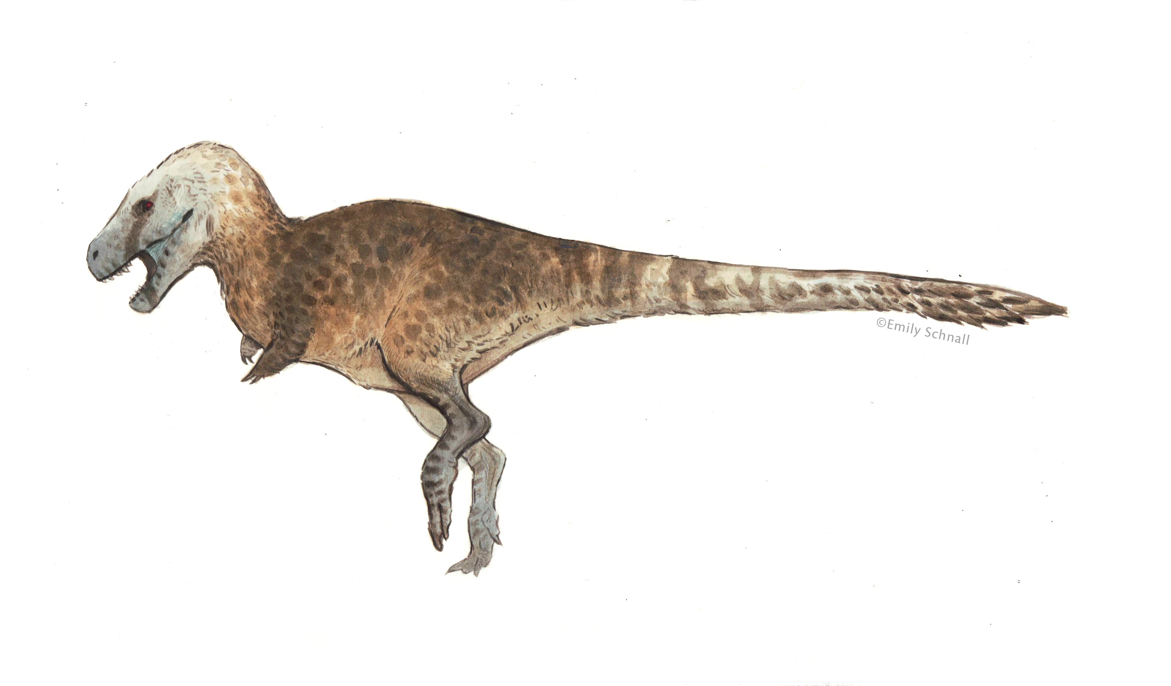 тарбозавр вики фэндом фото 9