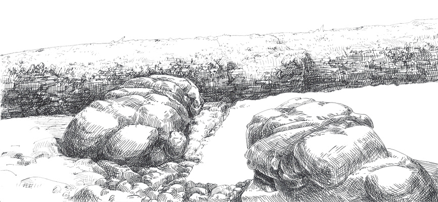 Kreatur I, 2011 - Tinte auf Papier, 29,7 x 21 cm