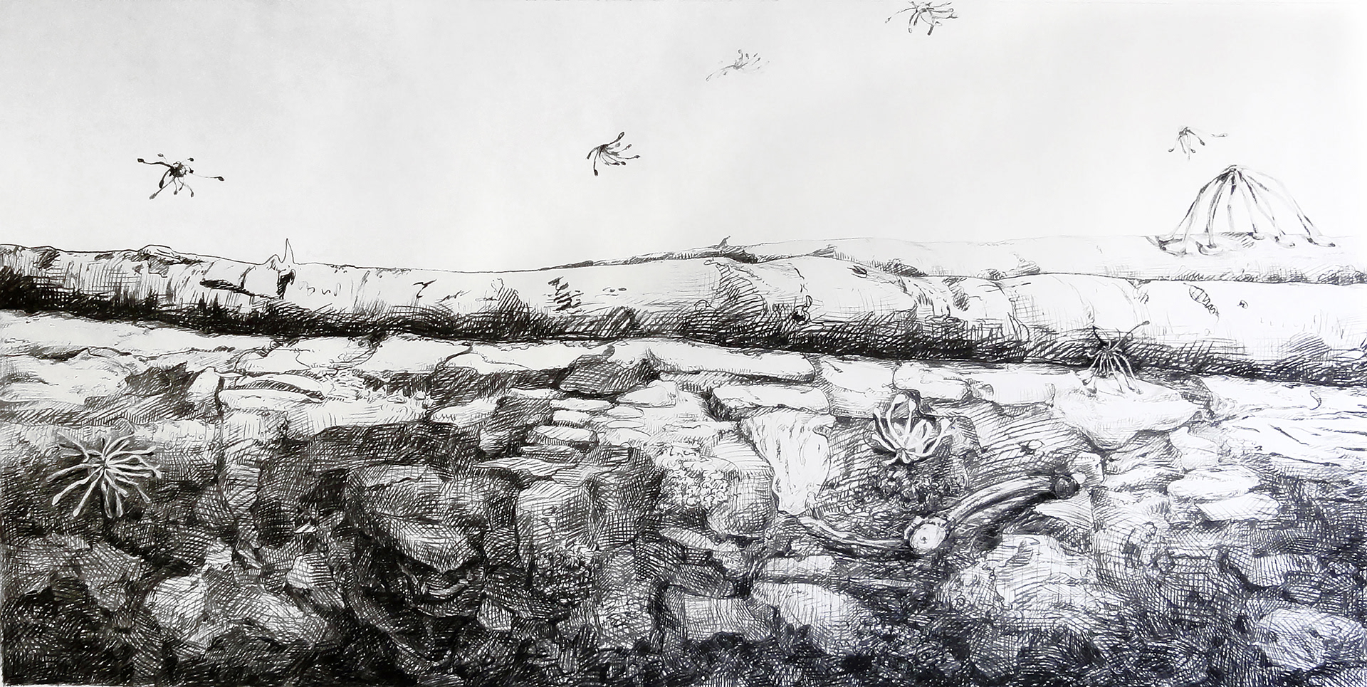 Brisa perfumada ,2011 - Zeichenkohle auf Papier / Carboncillo sobre papel / Charcoal on paper - 120 x 239 cm