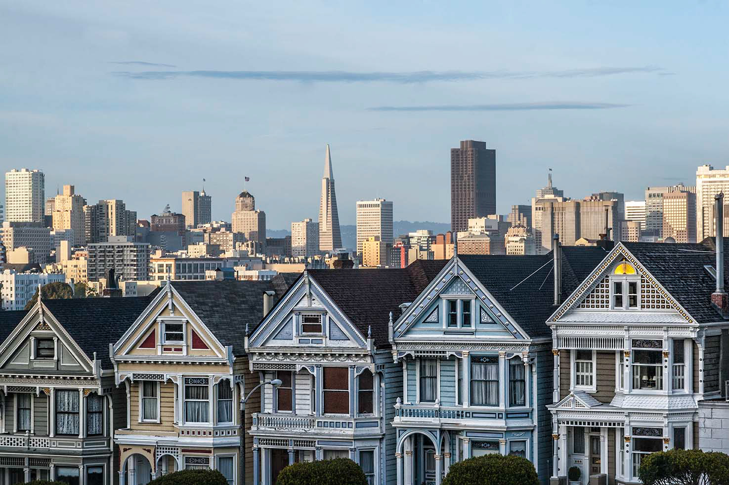 PAINTED LADIES -San Francisco- ©Prouzak