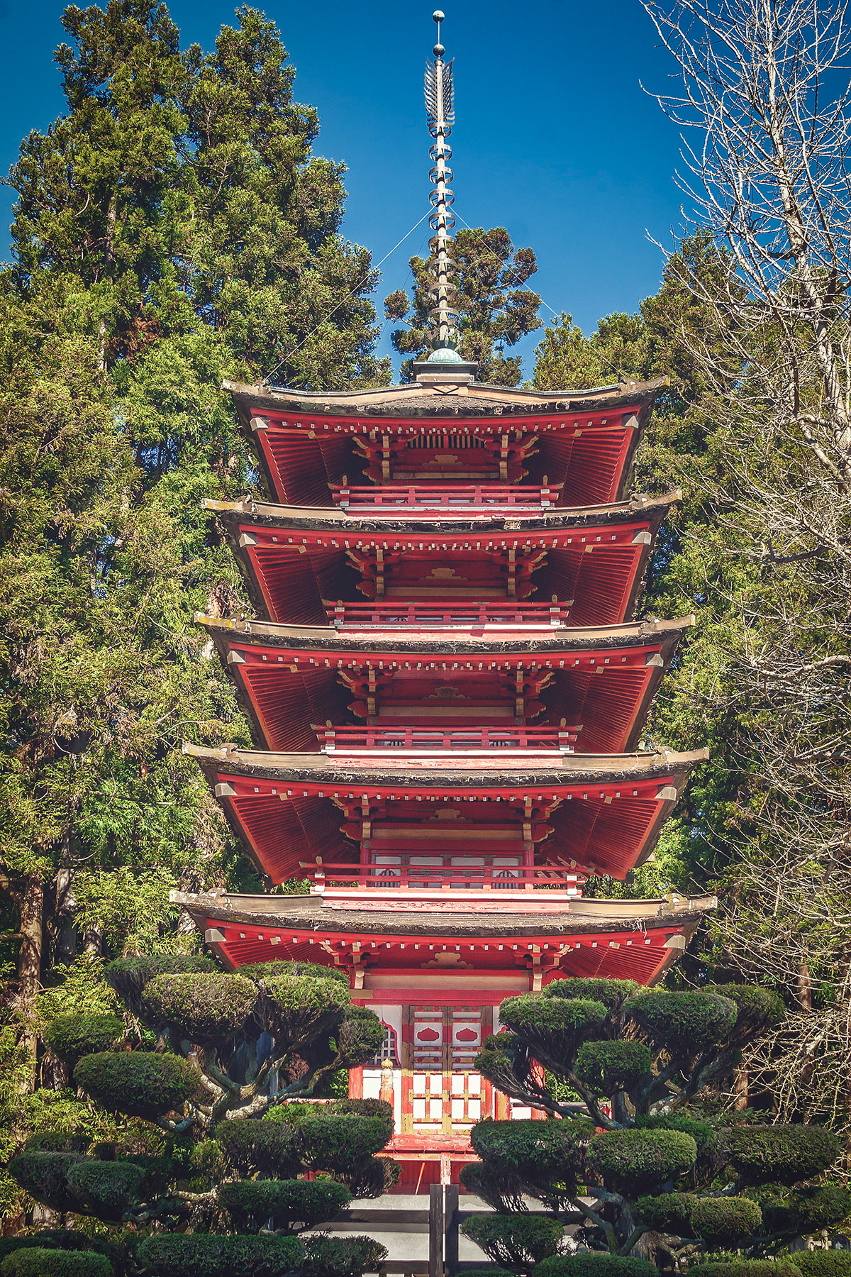 SAN FRANCISCO ©Prouzak