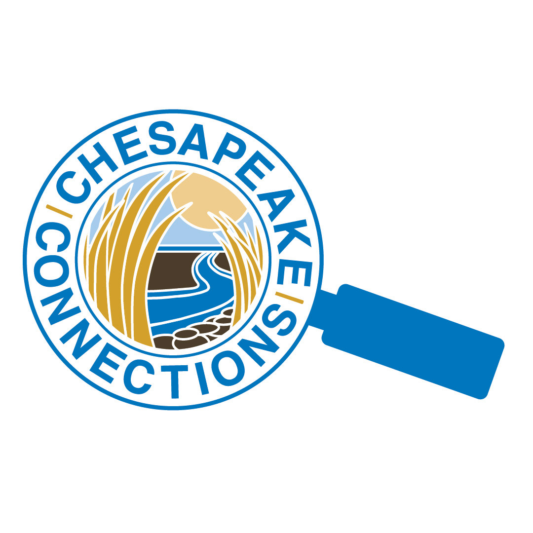 Color Logo