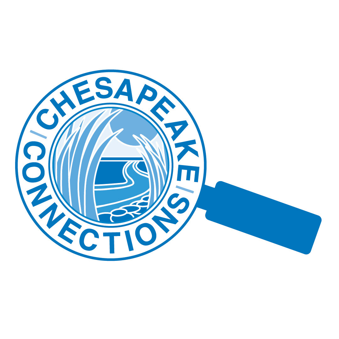 1 Color Logo