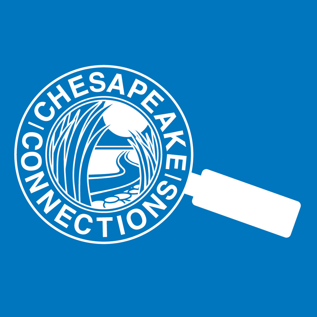 Inverted or Reversed Logo