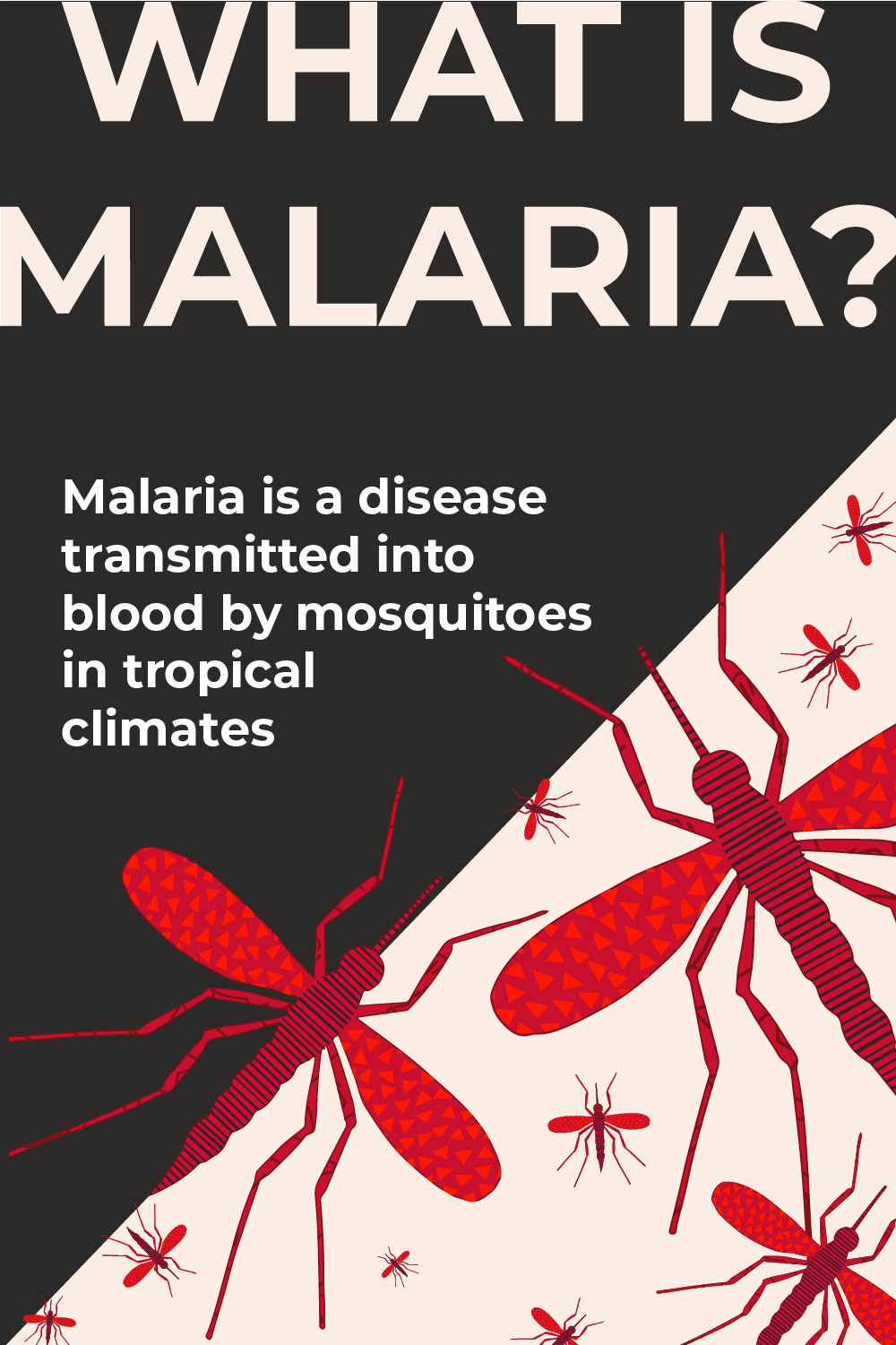 A image divided diagonally. The first half is black with white text that reads "What is Malaria? Malaria is a disease transmitted into blood by mosquitoes in tropical climates.". The second half is white with red patterned mosquitoes randomly placed throughout. The mosquitoes are different sizes. The body is striped and the wings have a triangle pattern on them. Text at top reads "What is Malaria". Below this on the left is text reading "Malaria is a disease transmitted into blood by mosquitoes in tropical climates."