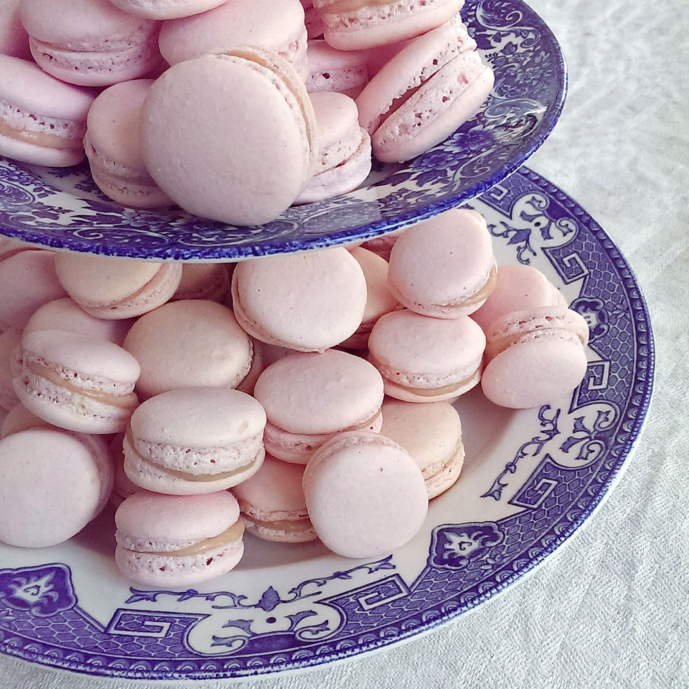 Rabarbermacarons