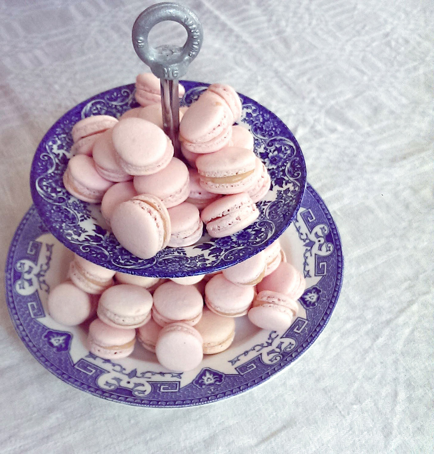 Rabarbermacarons