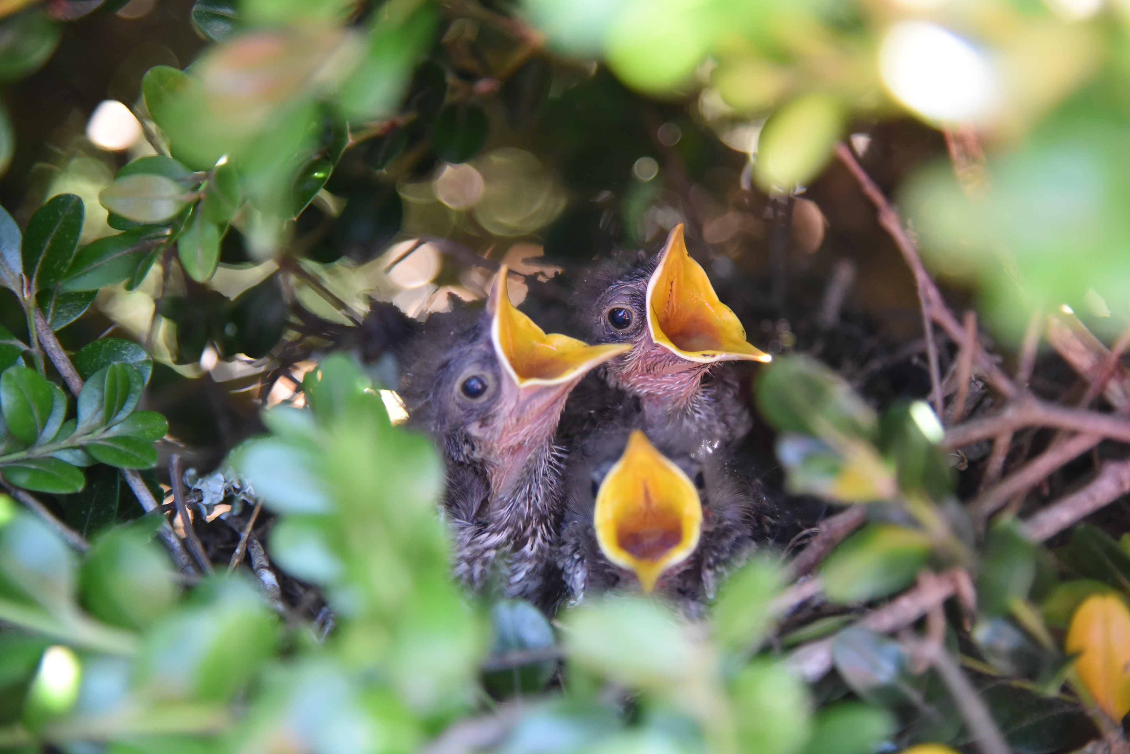 Product & Service Images