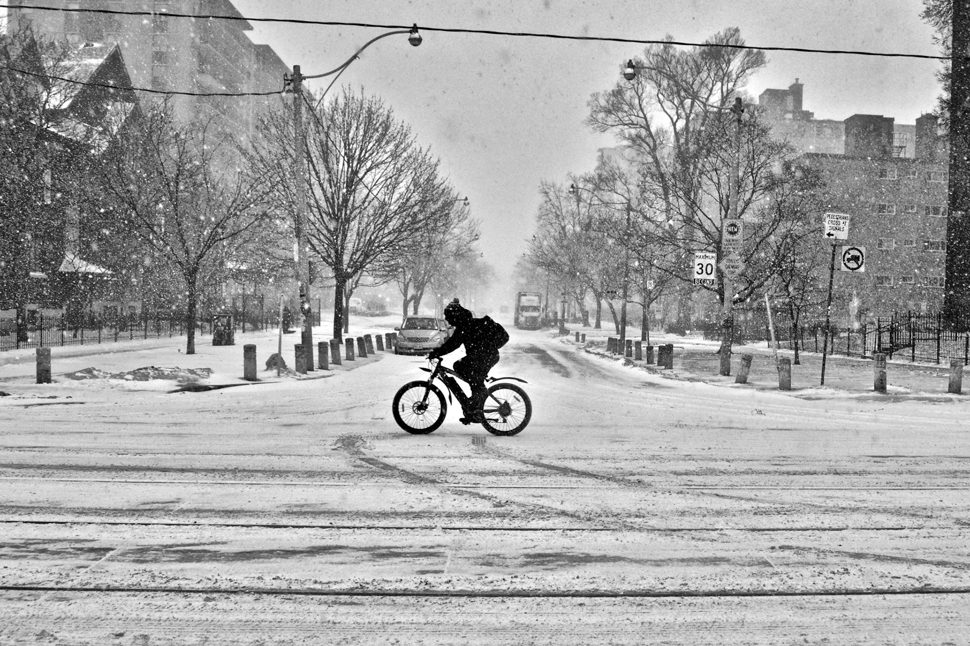 All Seasons - Parkdale, Toronto