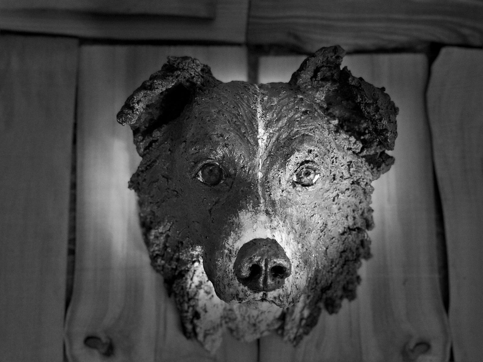 Hundeporträt Keramik Plastik Border Collie Bettina Danne