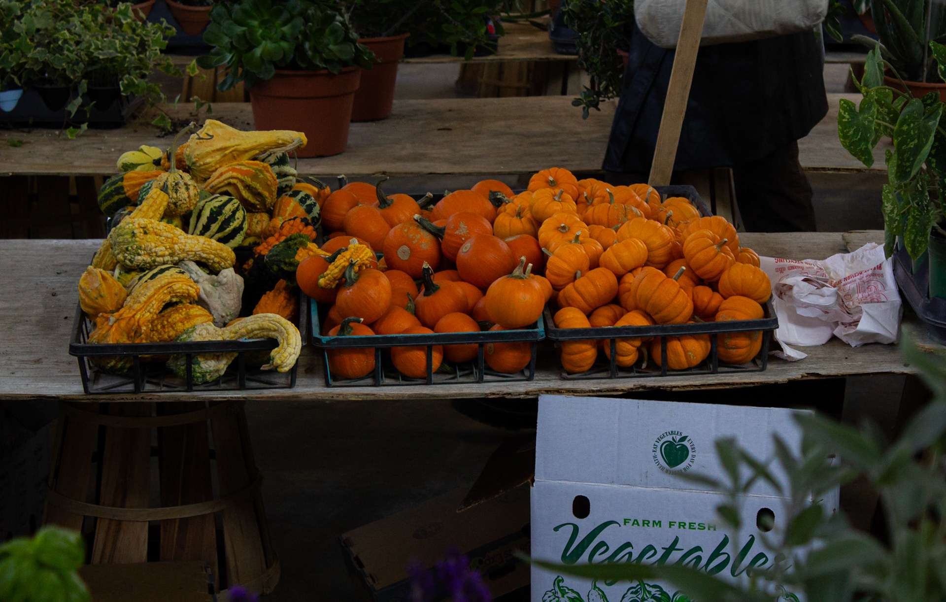 Eastern Market: Detroit, MI October 19, 2024