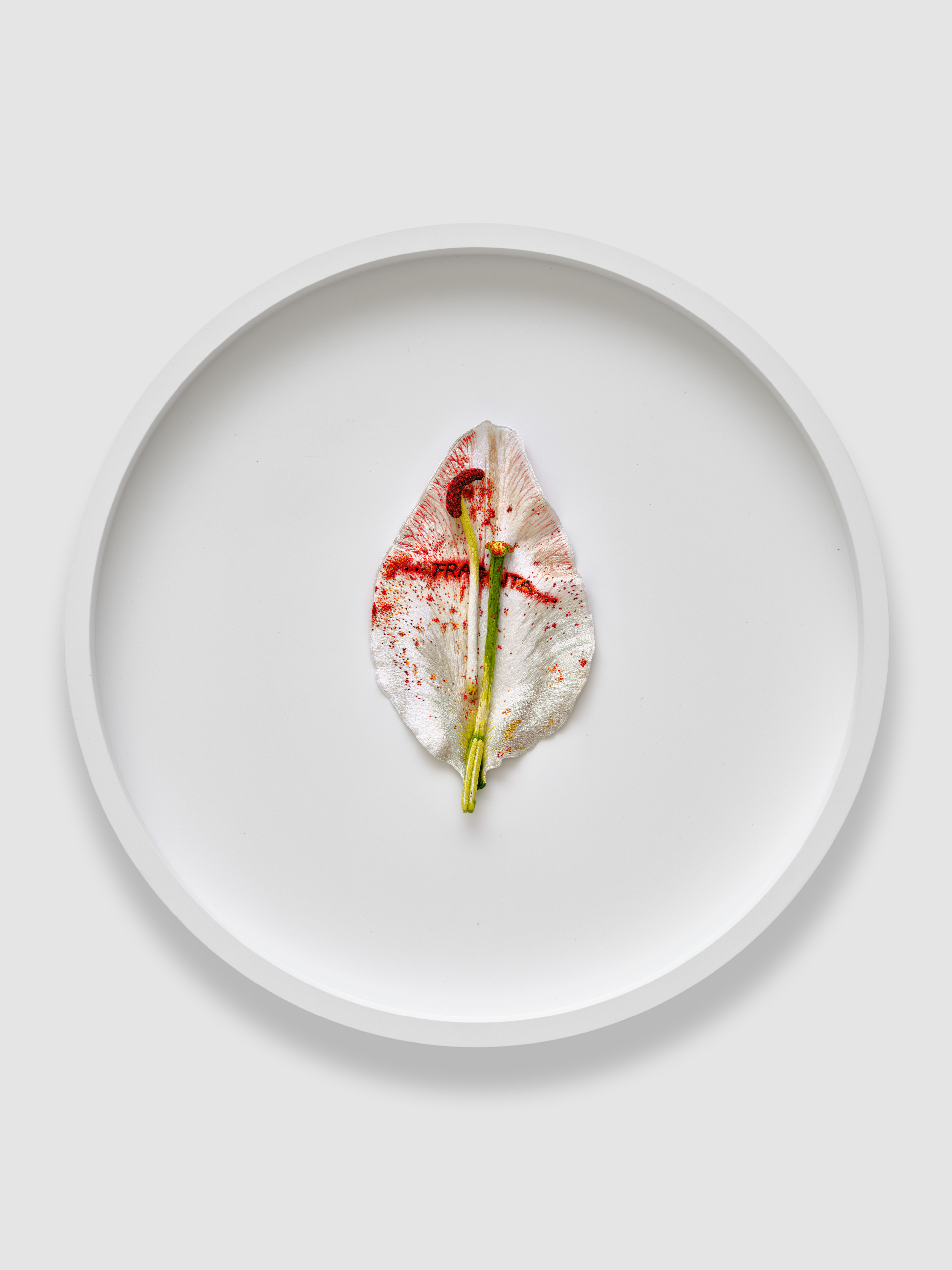 Poirier, Anne et Patrick, Fragilita, ©Gal Mitterrand