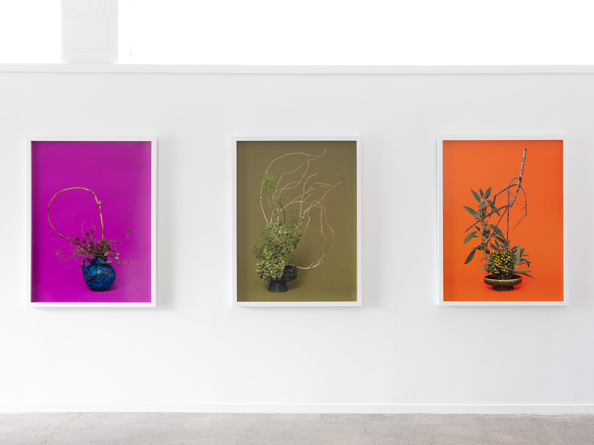 Installation detail: A Lovers’ Herbal, PHOTO OP. 5–26 November 2022. Photo: Hamish McLaren, Skar Image Lab.