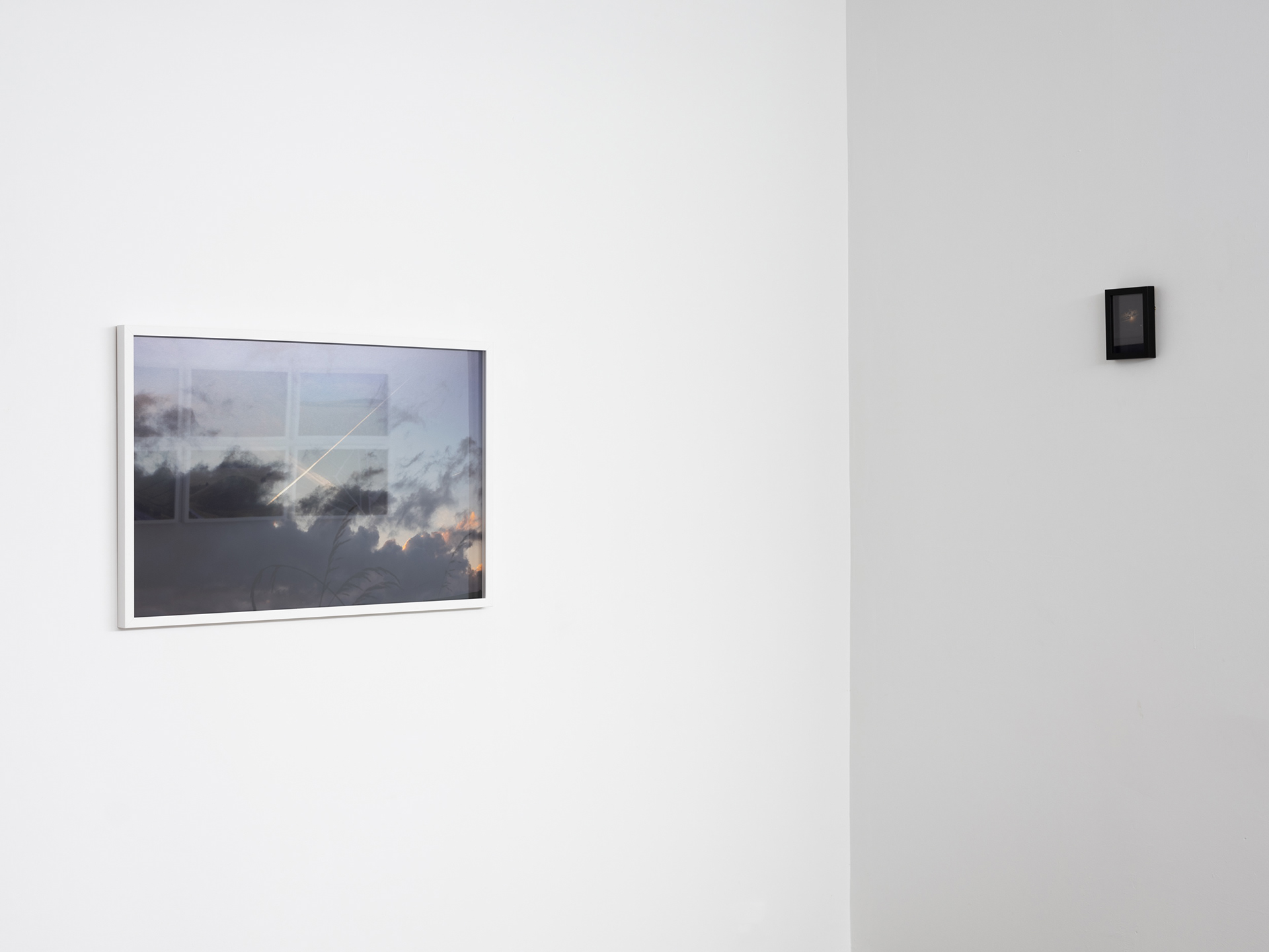Soft Launch, installation view, photo courtesy of Hamish McLaren
