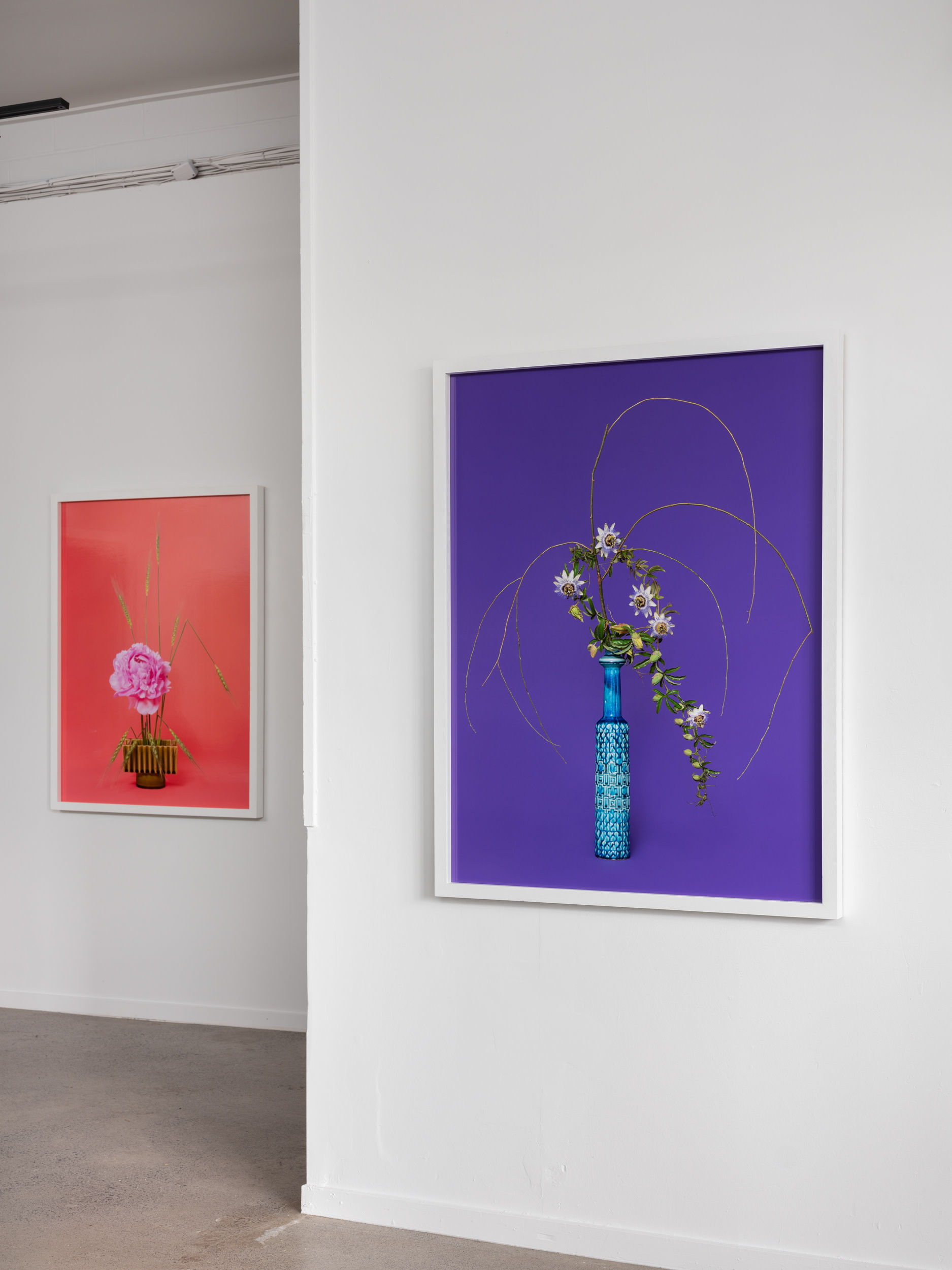 Installation detail: A Lovers’ Herbal, PHOTO OP. 5–26 November 2022. Photo: Hamish McLaren, Skar Image Lab.