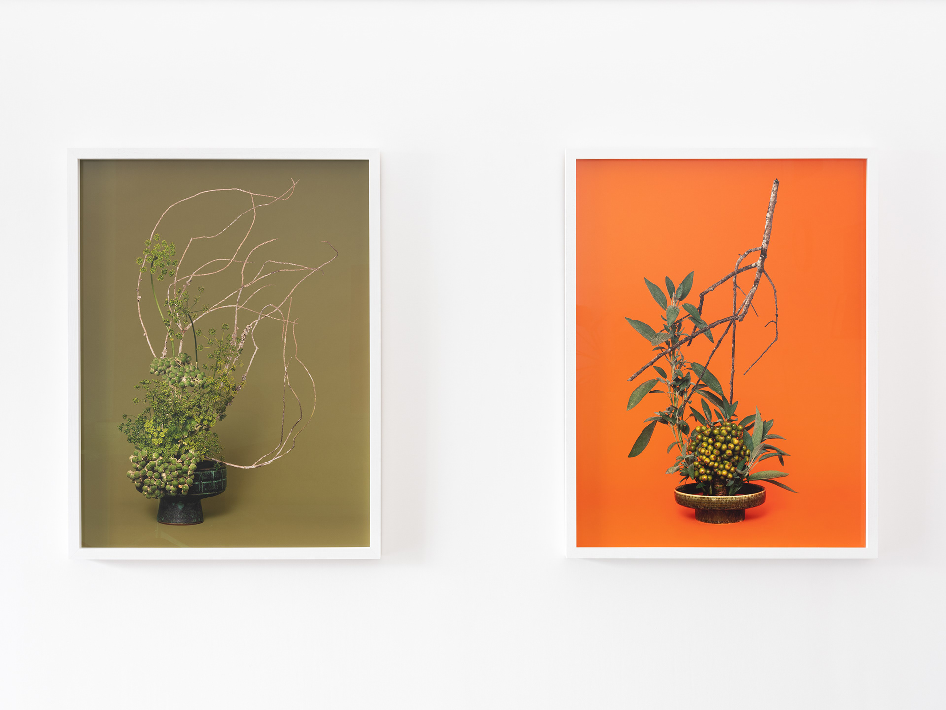 Installation detail: A Lovers’ Herbal, PHOTO OP. 5–26 November 2022. Photo: Hamish McLaren, Skar Image Lab.