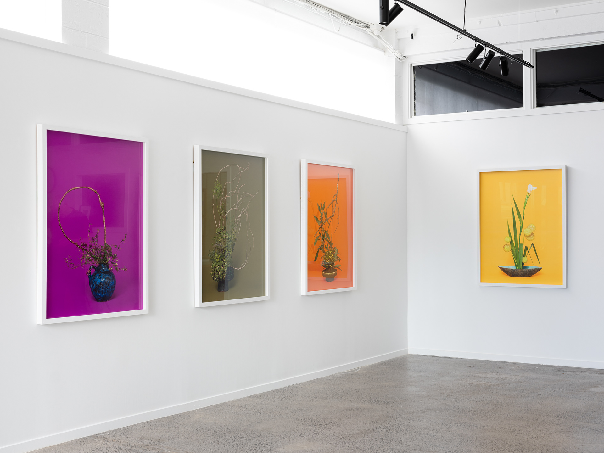 Installation detail: A Lovers’ Herbal, PHOTO OP. 5–26 November 2022. Photo: Hamish McLaren, Skar Image Lab.