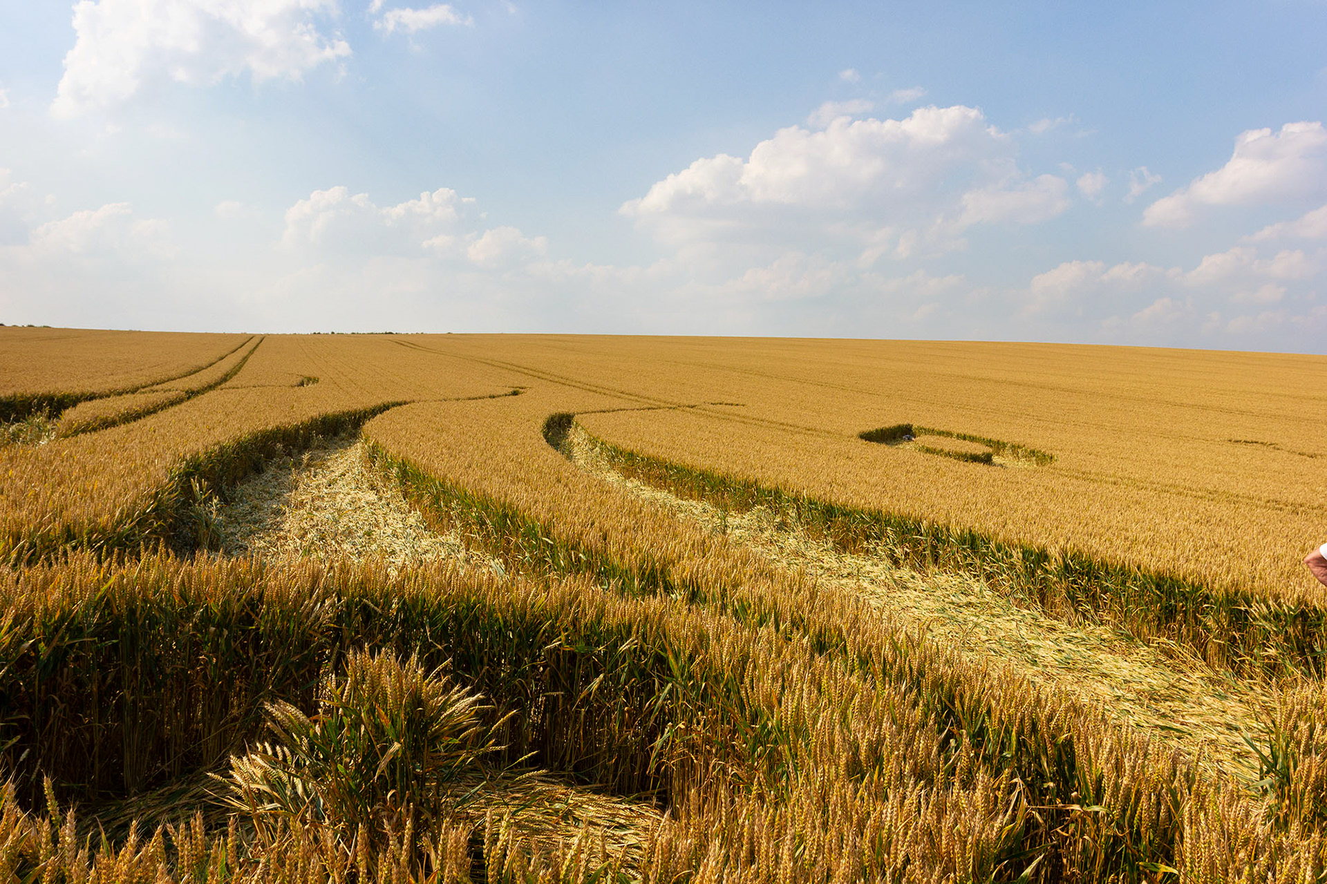Emil McAvoy, from the series Soft Launch: An Exopoetics of the Crop Circle Phenomenon, 2012/22, exhibition and photobook.