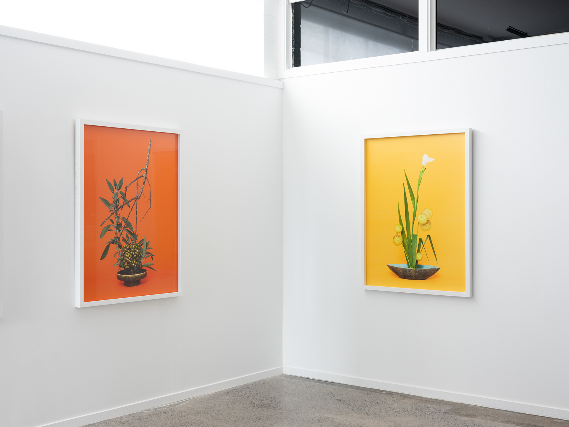 Installation detail: A Lovers’ Herbal, PHOTO OP. 5–26 November 2022. Photo: Hamish McLaren, Skar Image Lab.