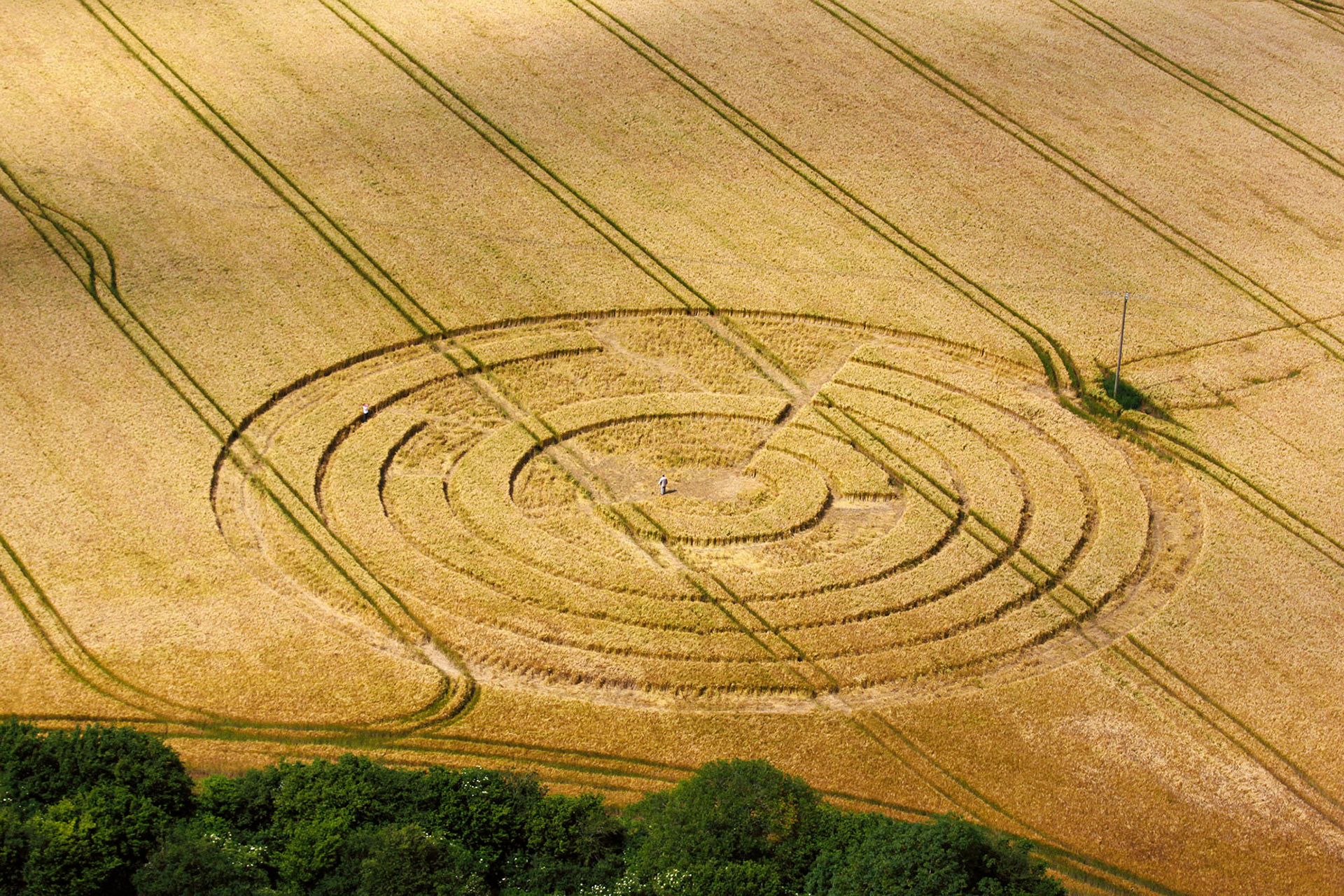 Emil McAvoy, from the series Soft Launch: An Exopoetics of the Crop Circle Phenomenon, 2012/22, exhibition and photobook.