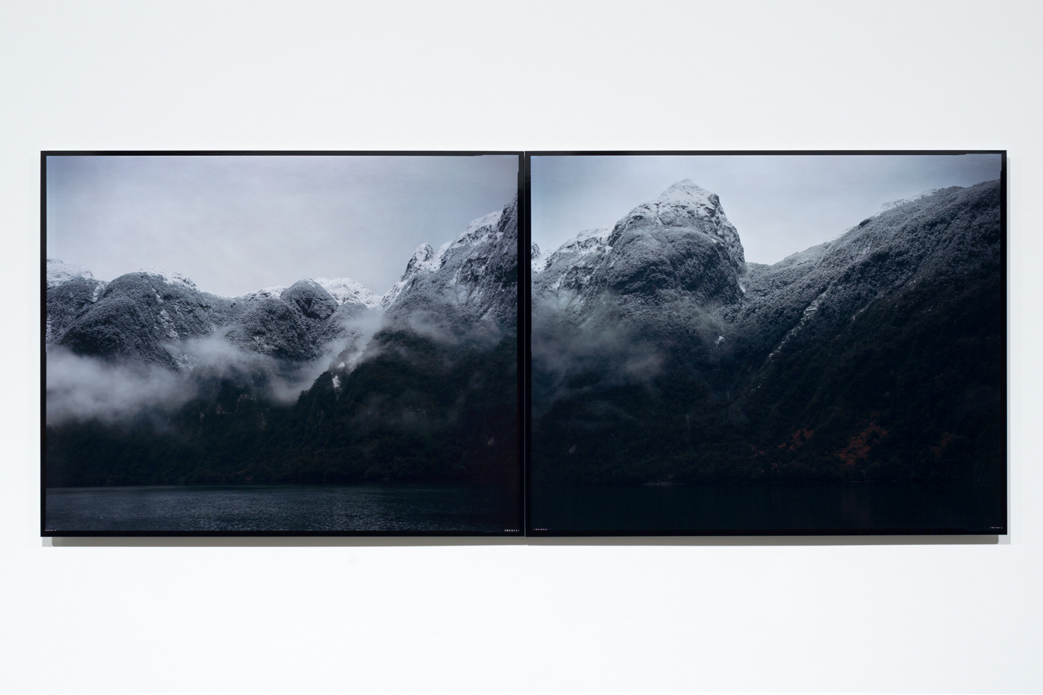 Mark Adams, 2014. Broughton Arm, Breaksea, Dusky Sound, courtesy of the artist and Two Rooms. Photo by Sam Hartnett.