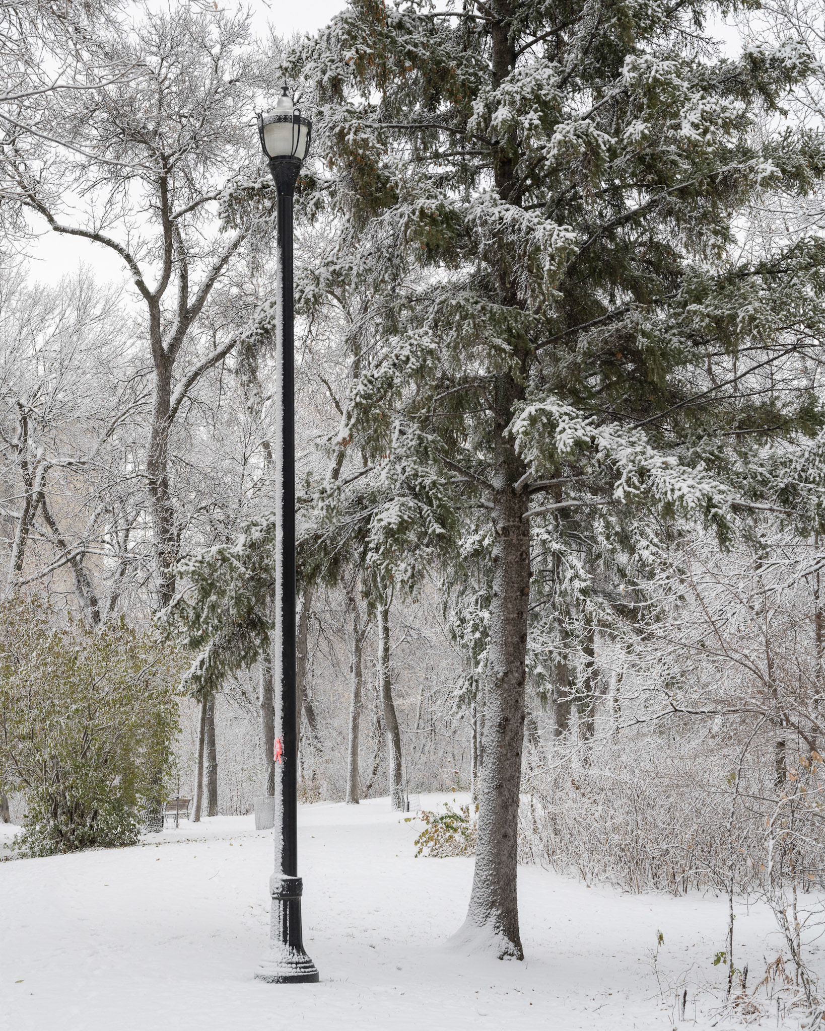Snow in October