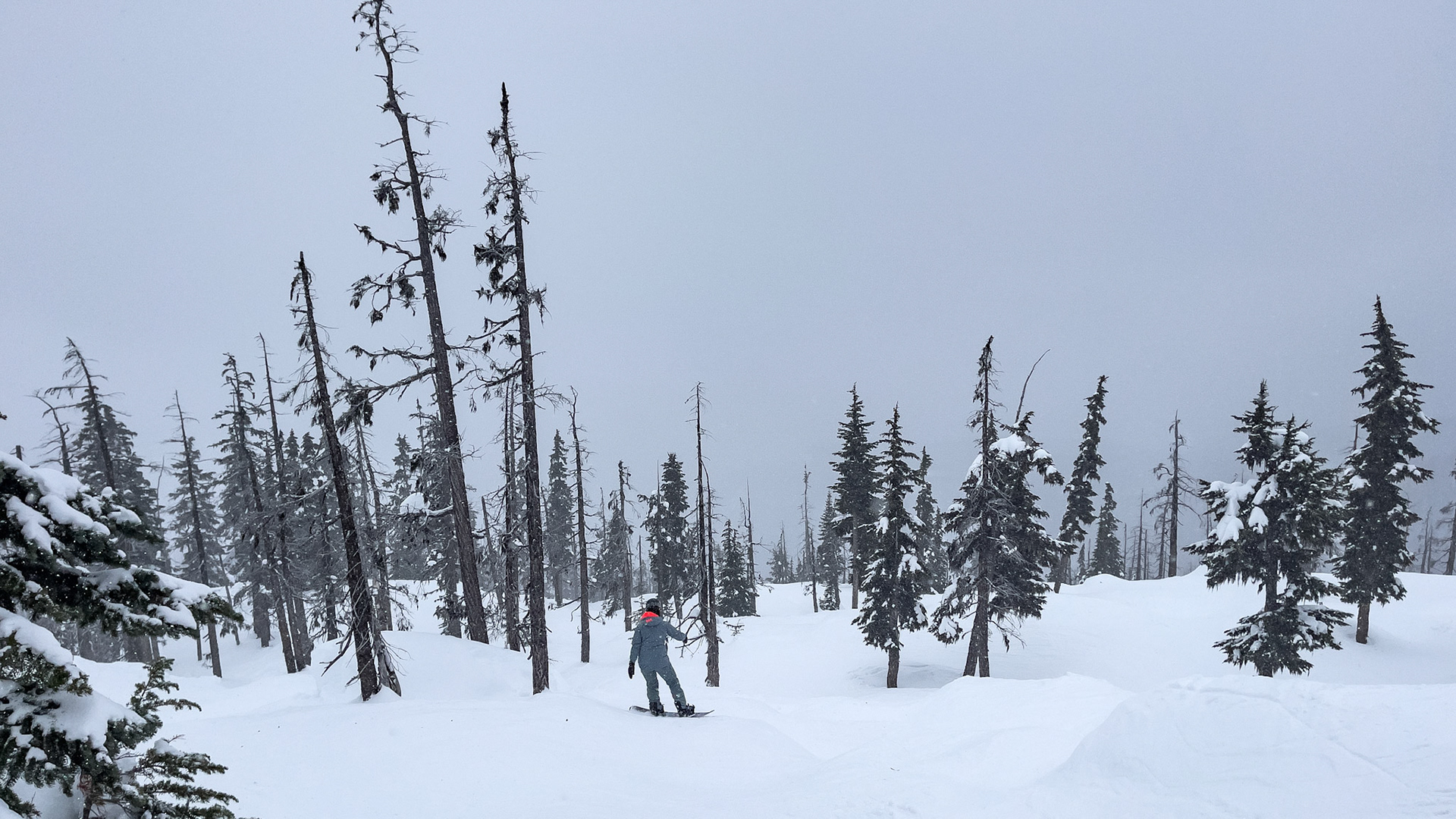 Whistler with the Family