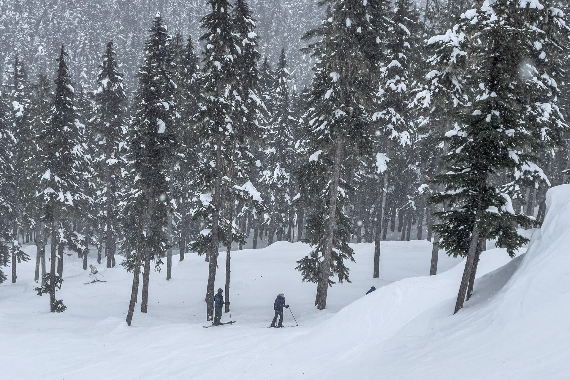 Whistler with the Family