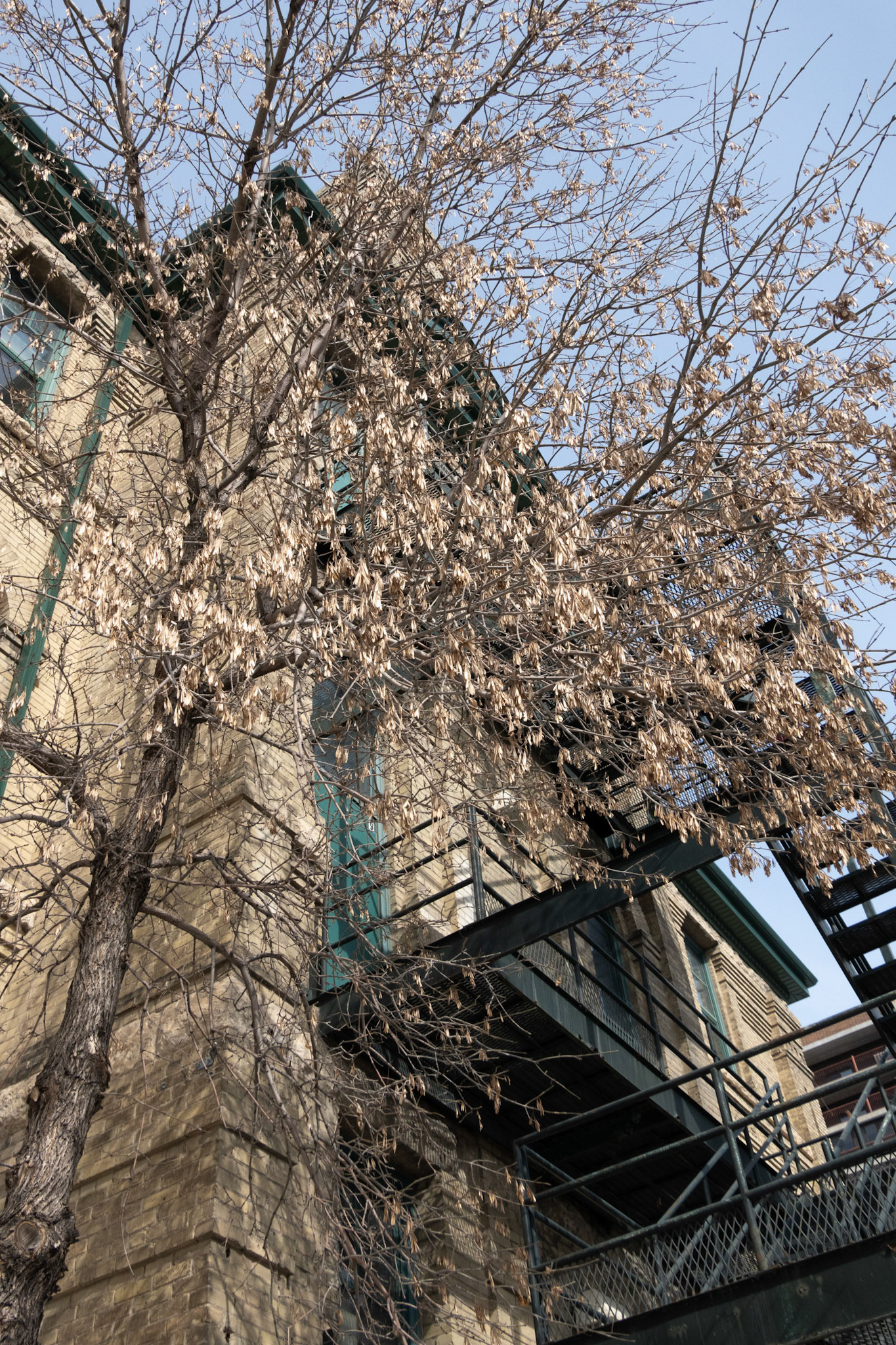 Winnipeg - March 2020