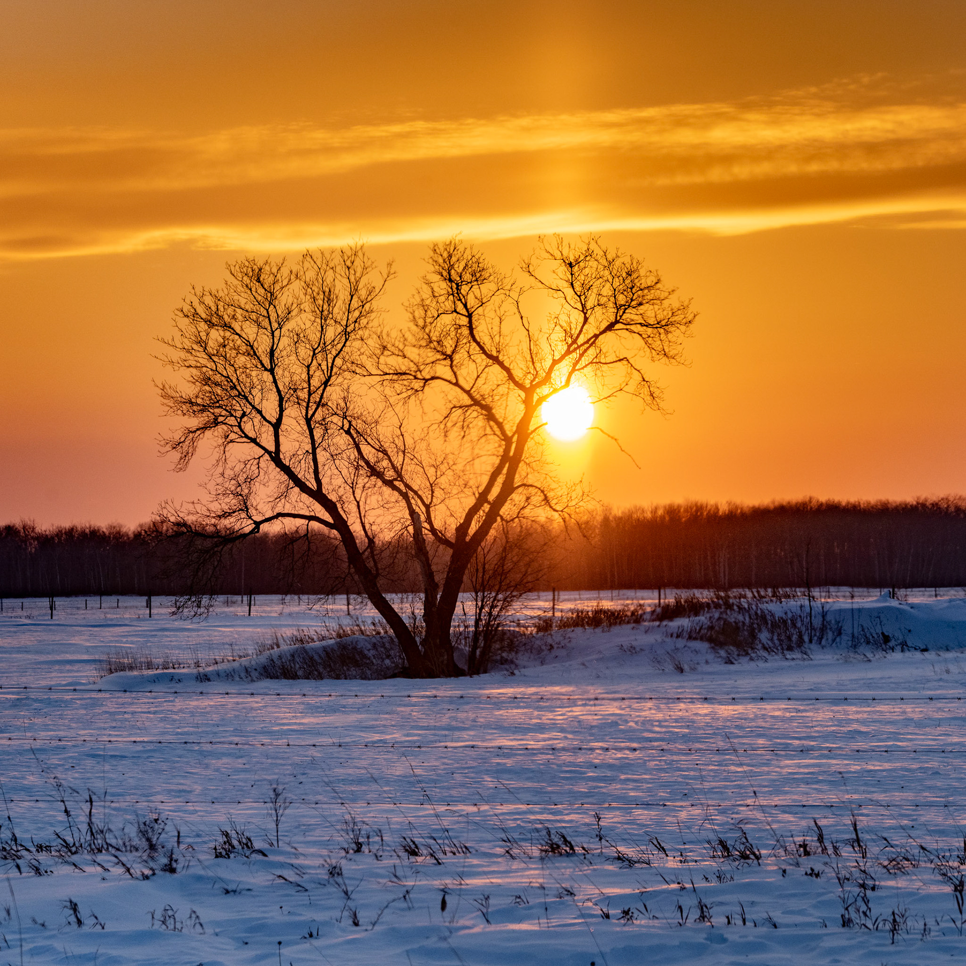 Sunset in the Interlake