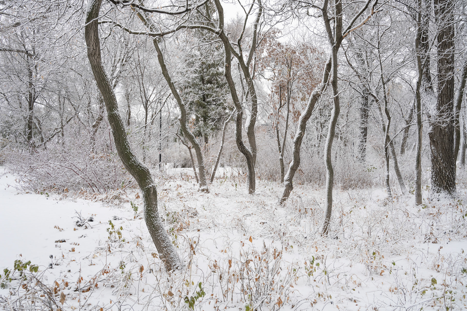 Snow in October