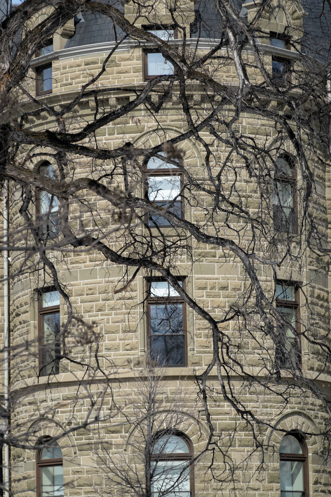 Winnipeg - March 2020