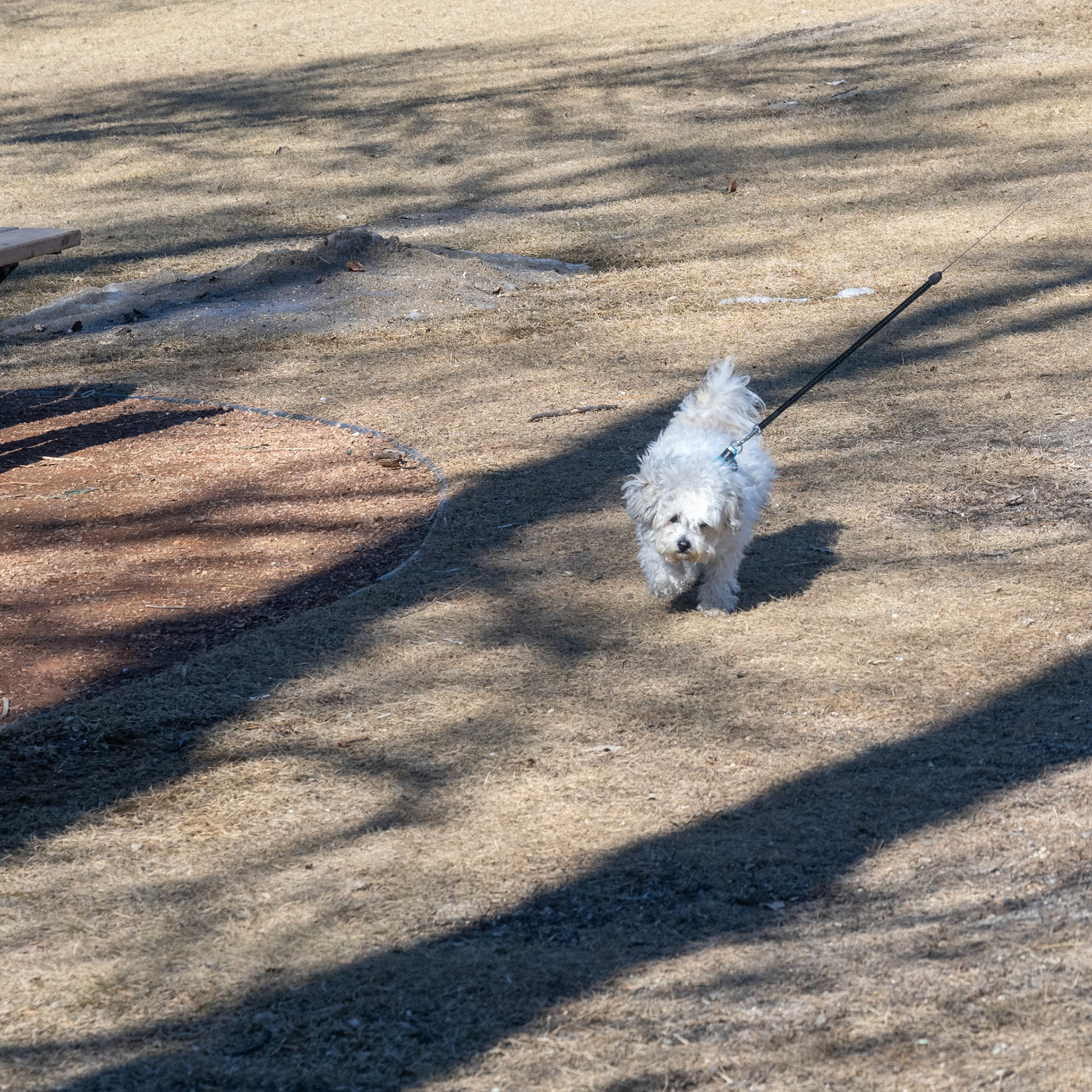A walk through Assiniboine Park