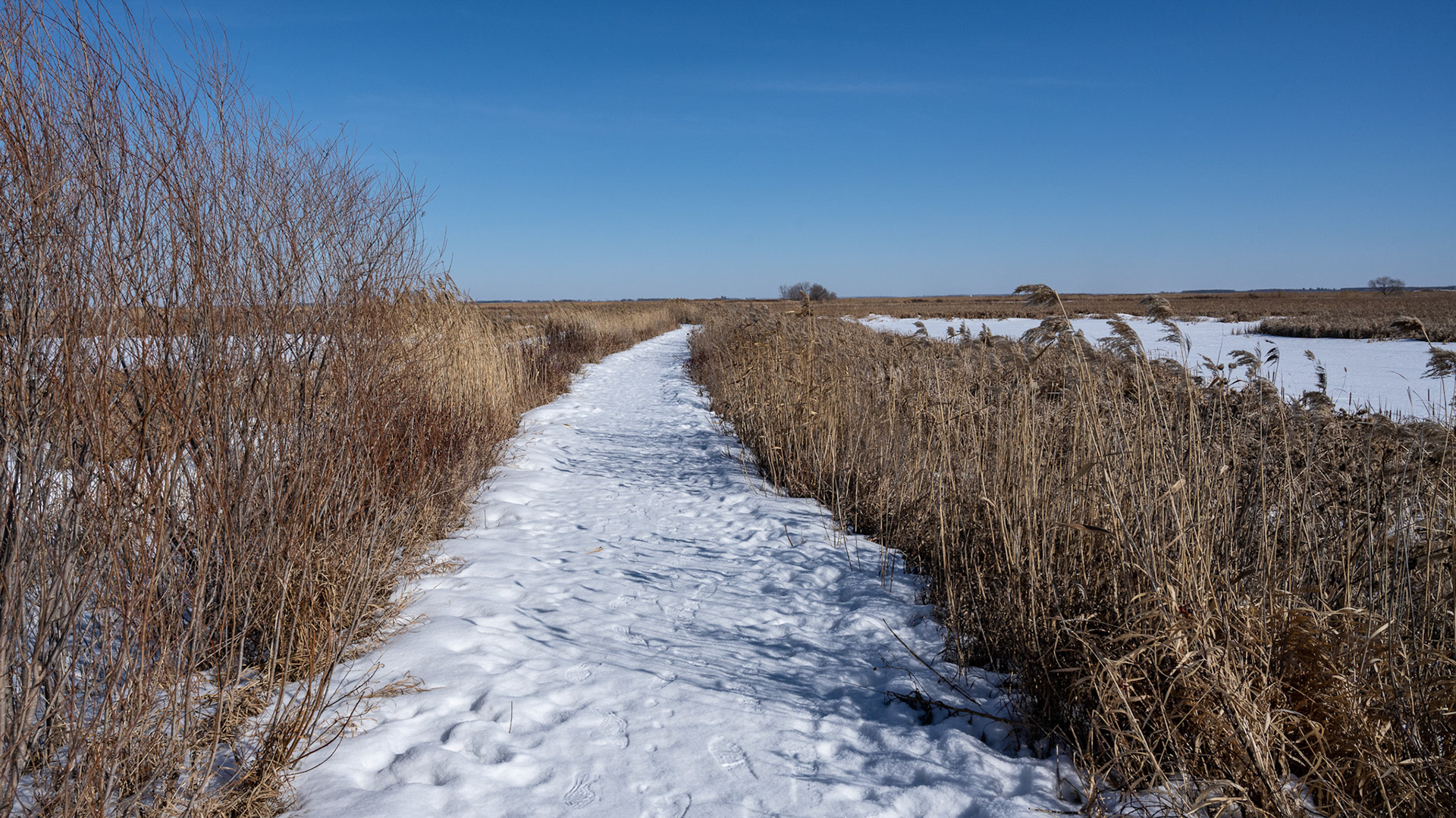 one of North America's birding hotspots in the Rural Municipality of Rockwood
