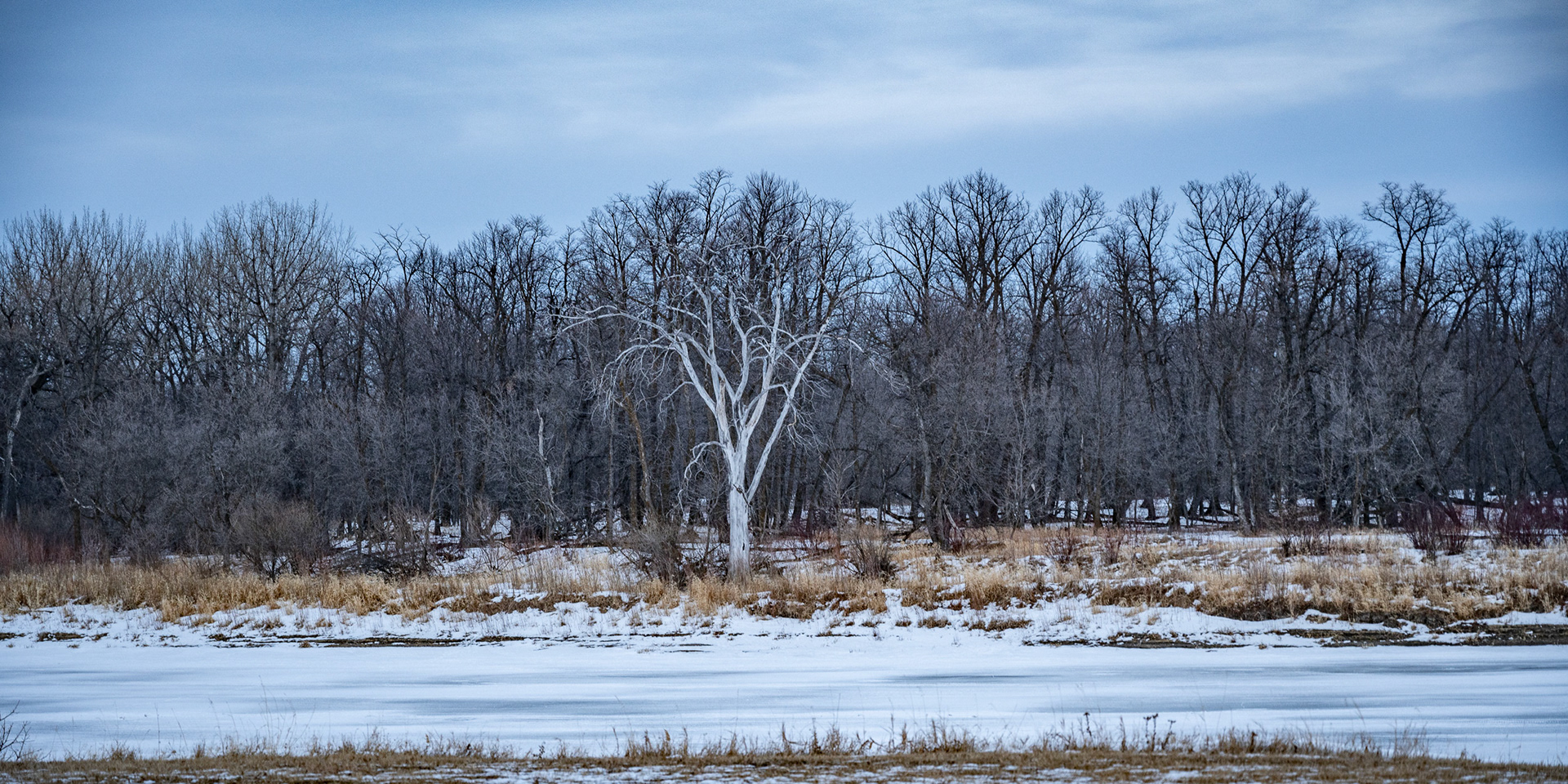 Beaudry Provincial Park