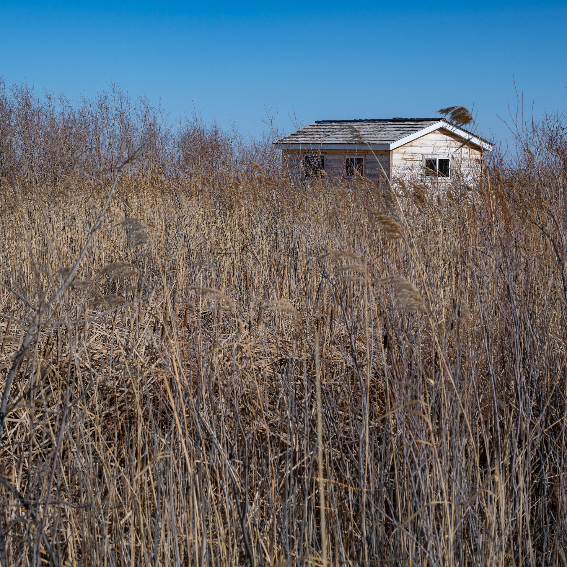 one of North America's birding hotspots in the Rural Municipality of Rockwood