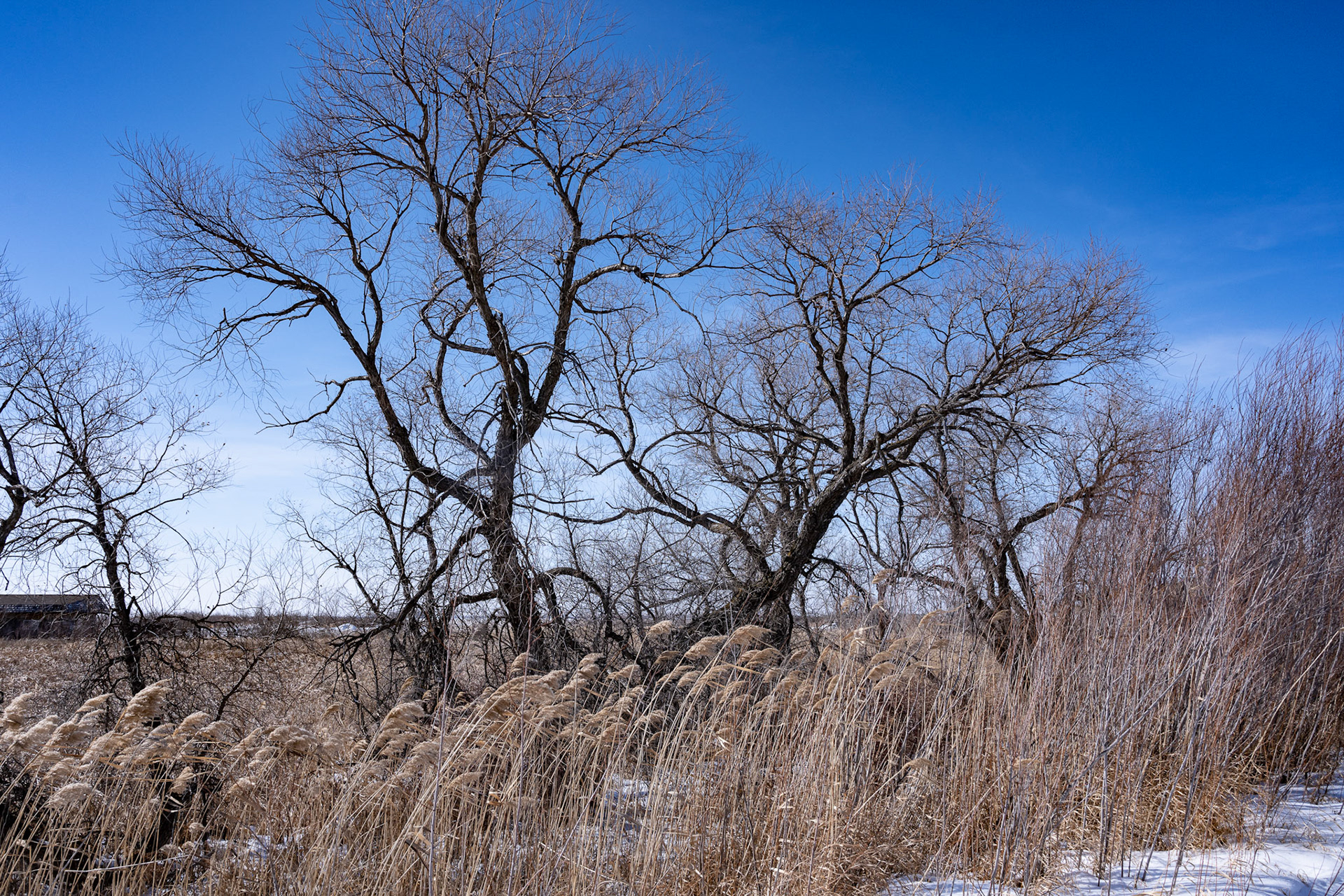 one of North America's birding hotspots in the Rural Municipality of Rockwood