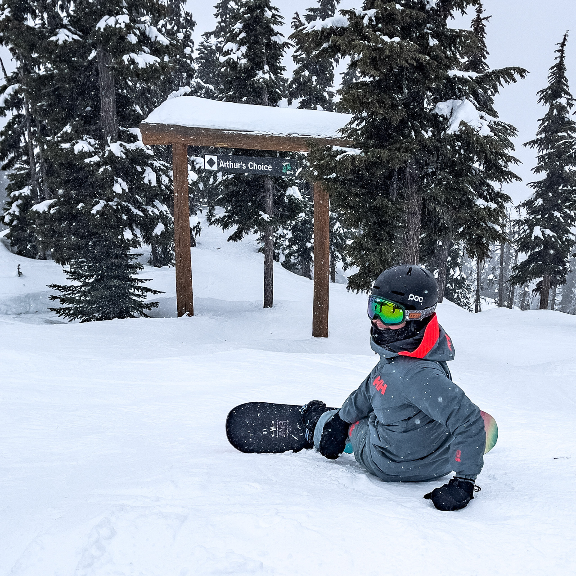 Whistler with the Family