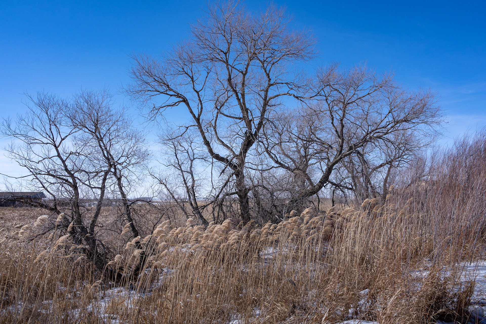 one of North America's birding hotspots in the Rural Municipality of Rockwood
