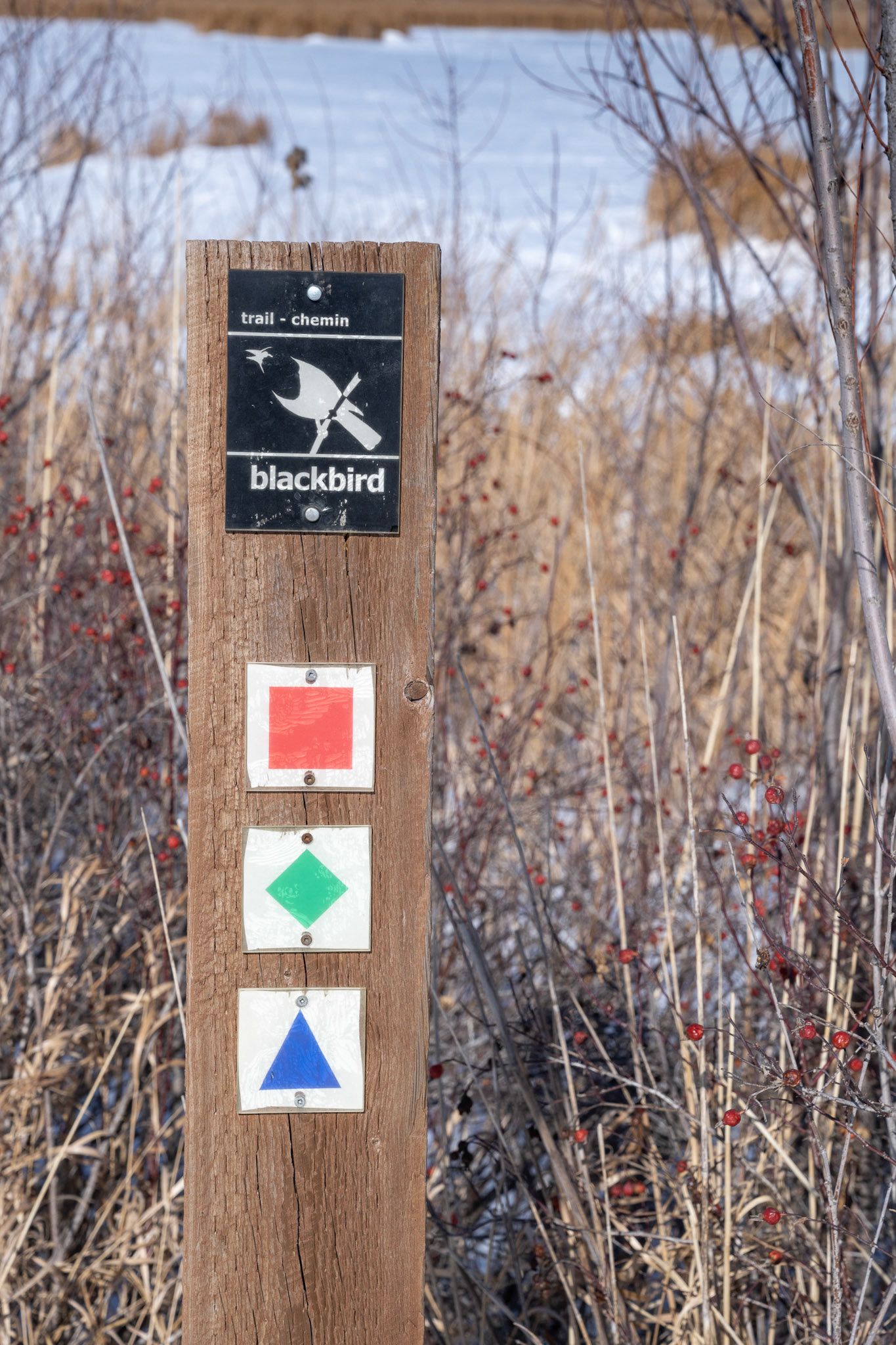 one of North America's birding hotspots in the Rural Municipality of Rockwood