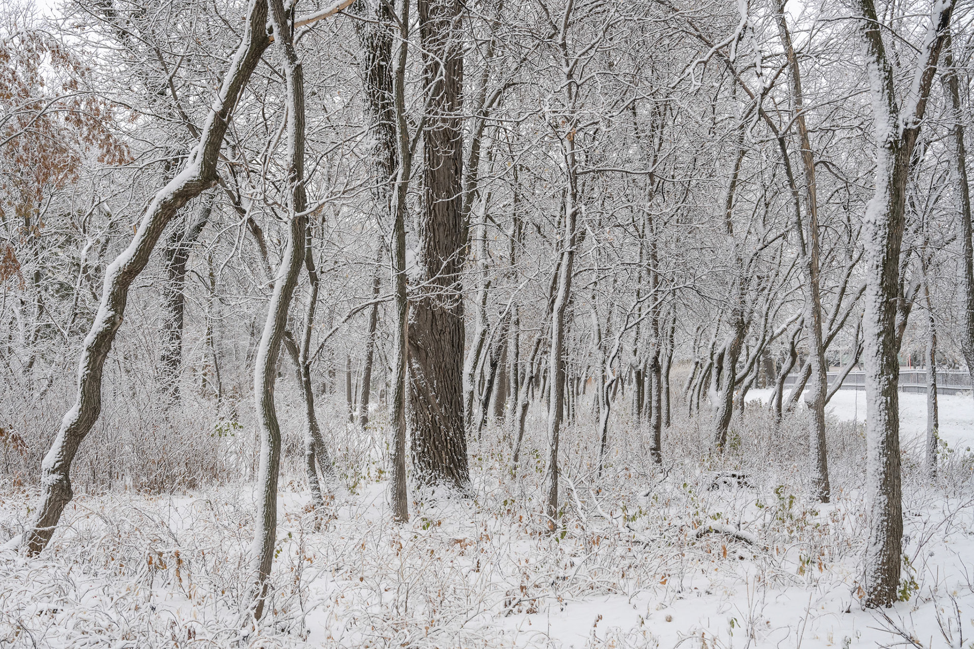 Snow in October