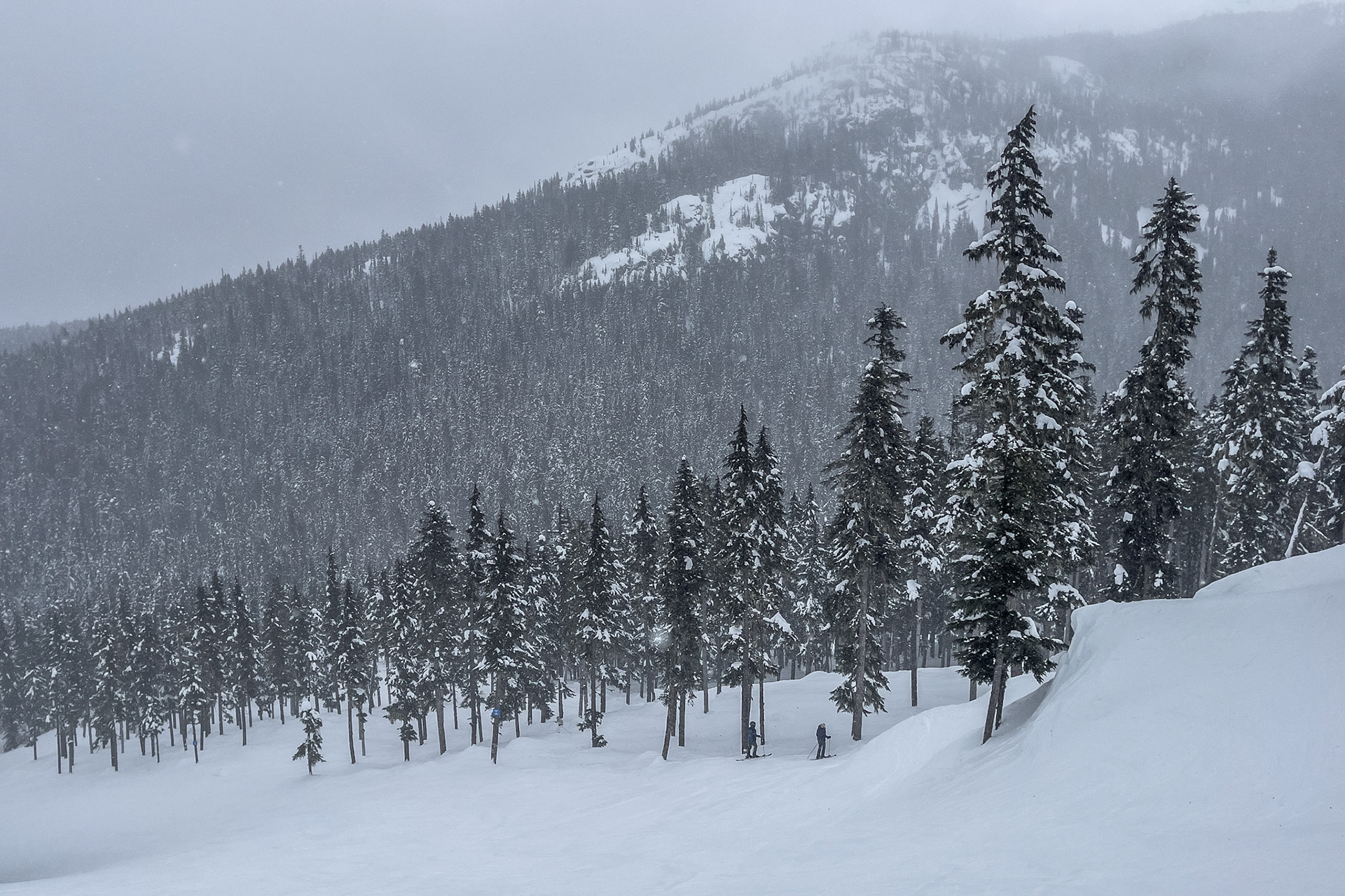 Whistler with the Family