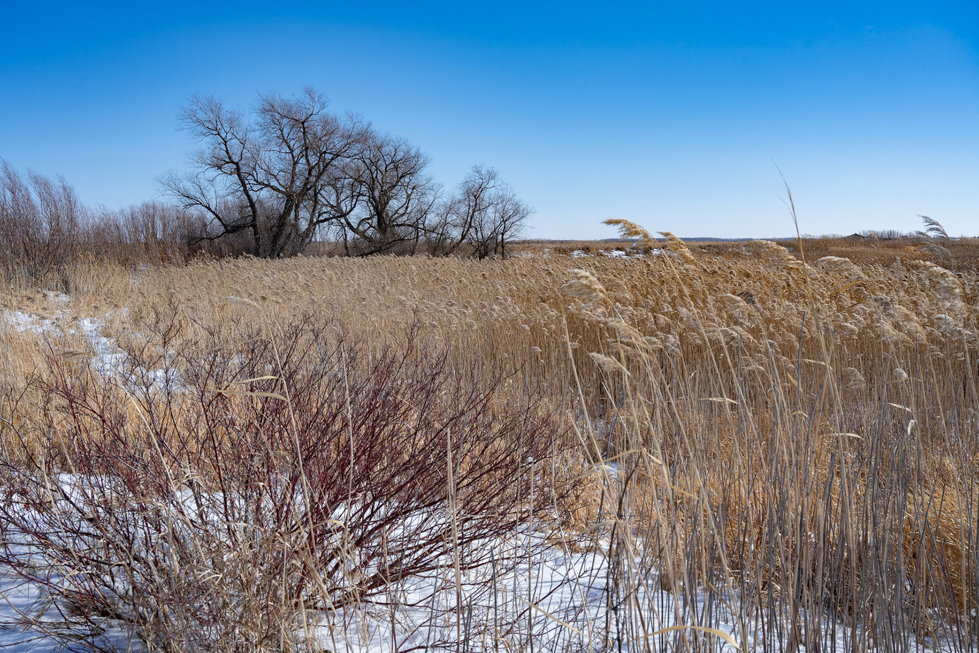 one of North America's birding hotspots in the Rural Municipality of Rockwood