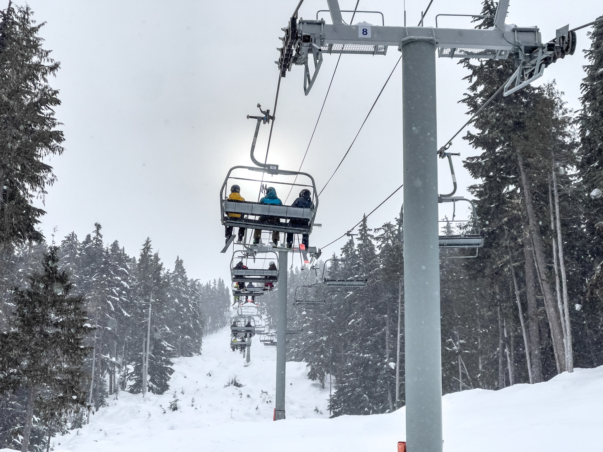 Whistler with the Family