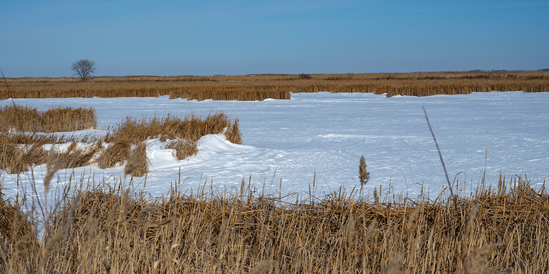 one of North America's birding hotspots in the Rural Municipality of Rockwood