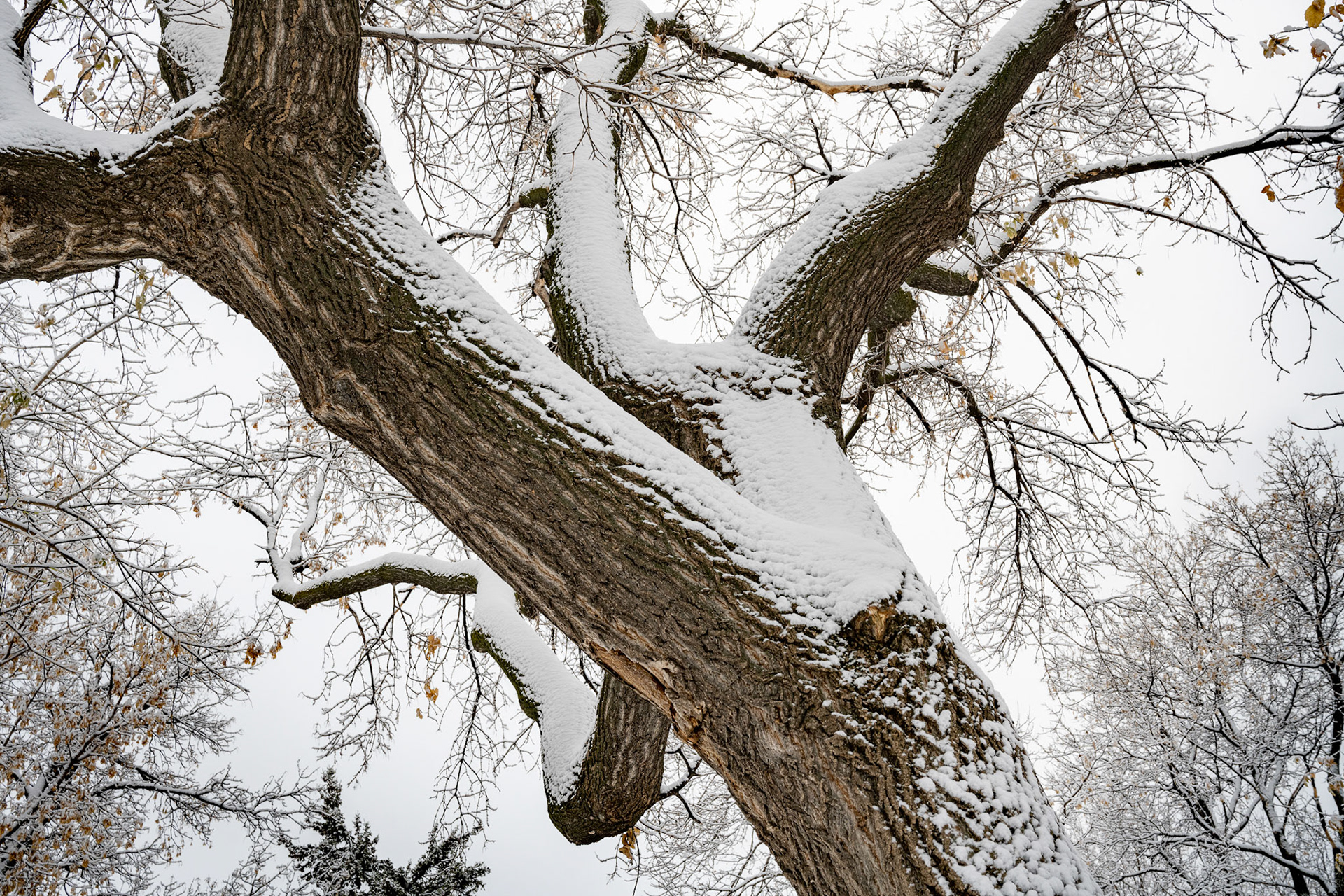 Snow in October