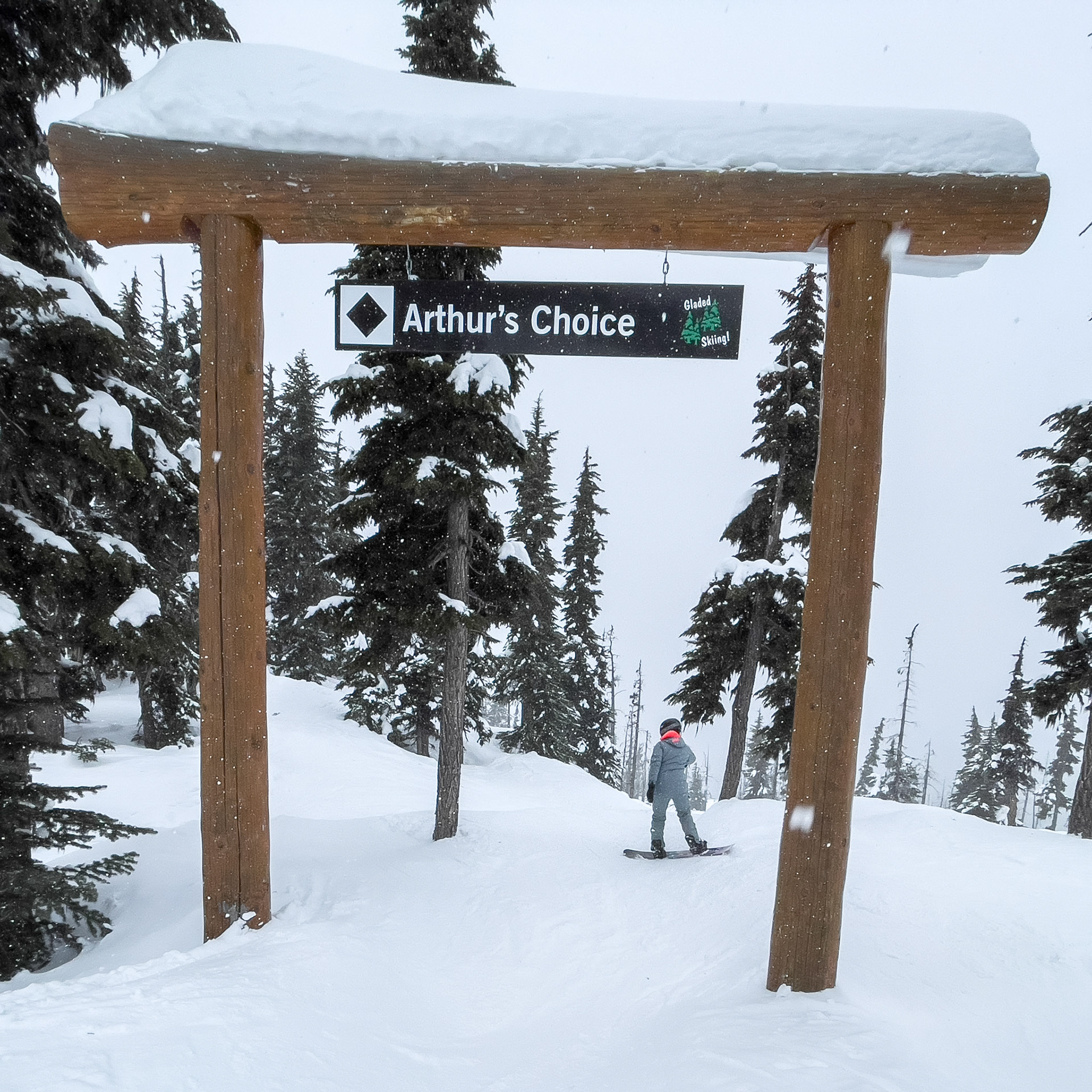 Whistler with the Family