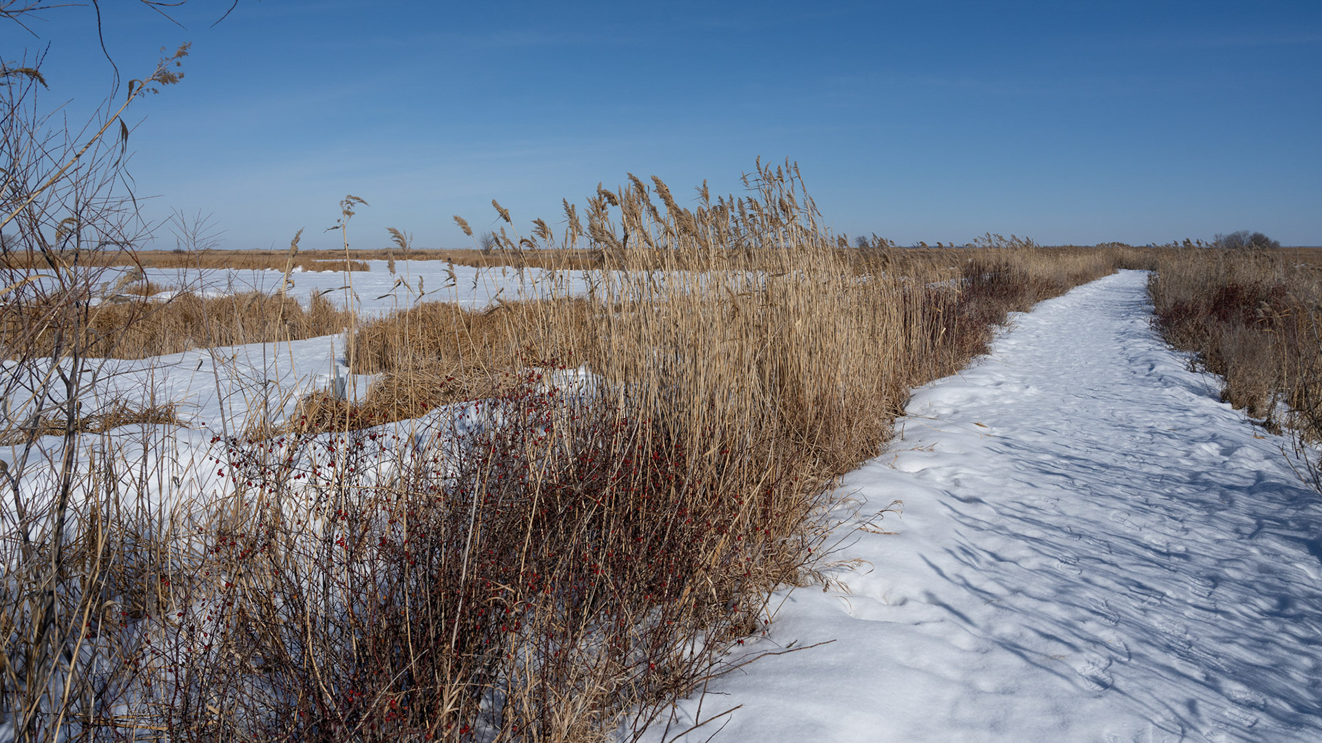 one of North America's birding hotspots in the Rural Municipality of Rockwood
