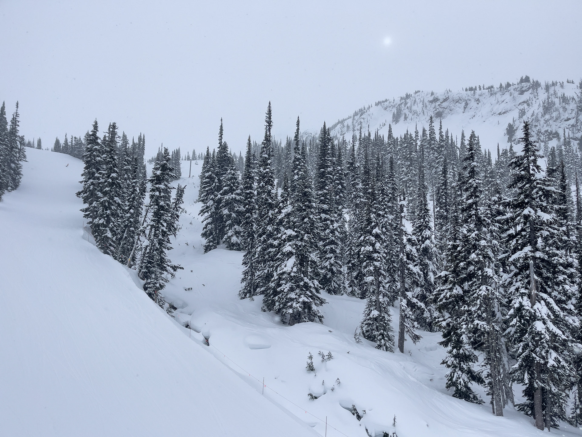 Whistler with the Family